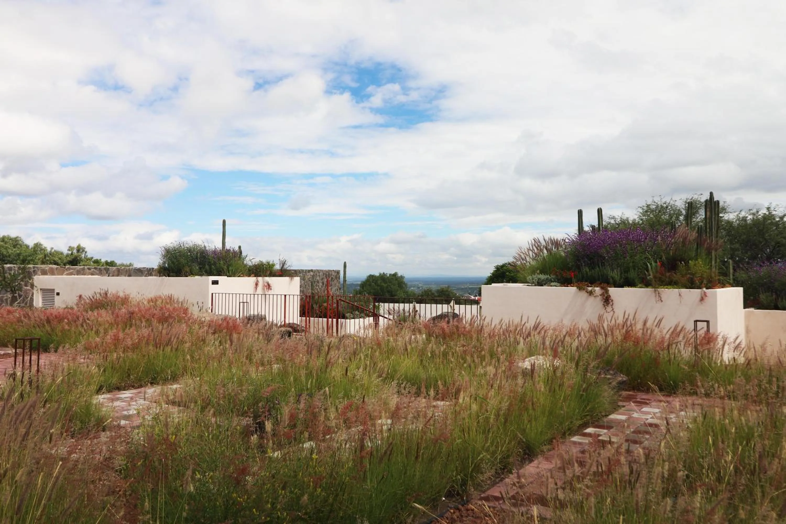Inner courtyard view in Albor San Miguel de Allende, Tapestry Collection by Hilton