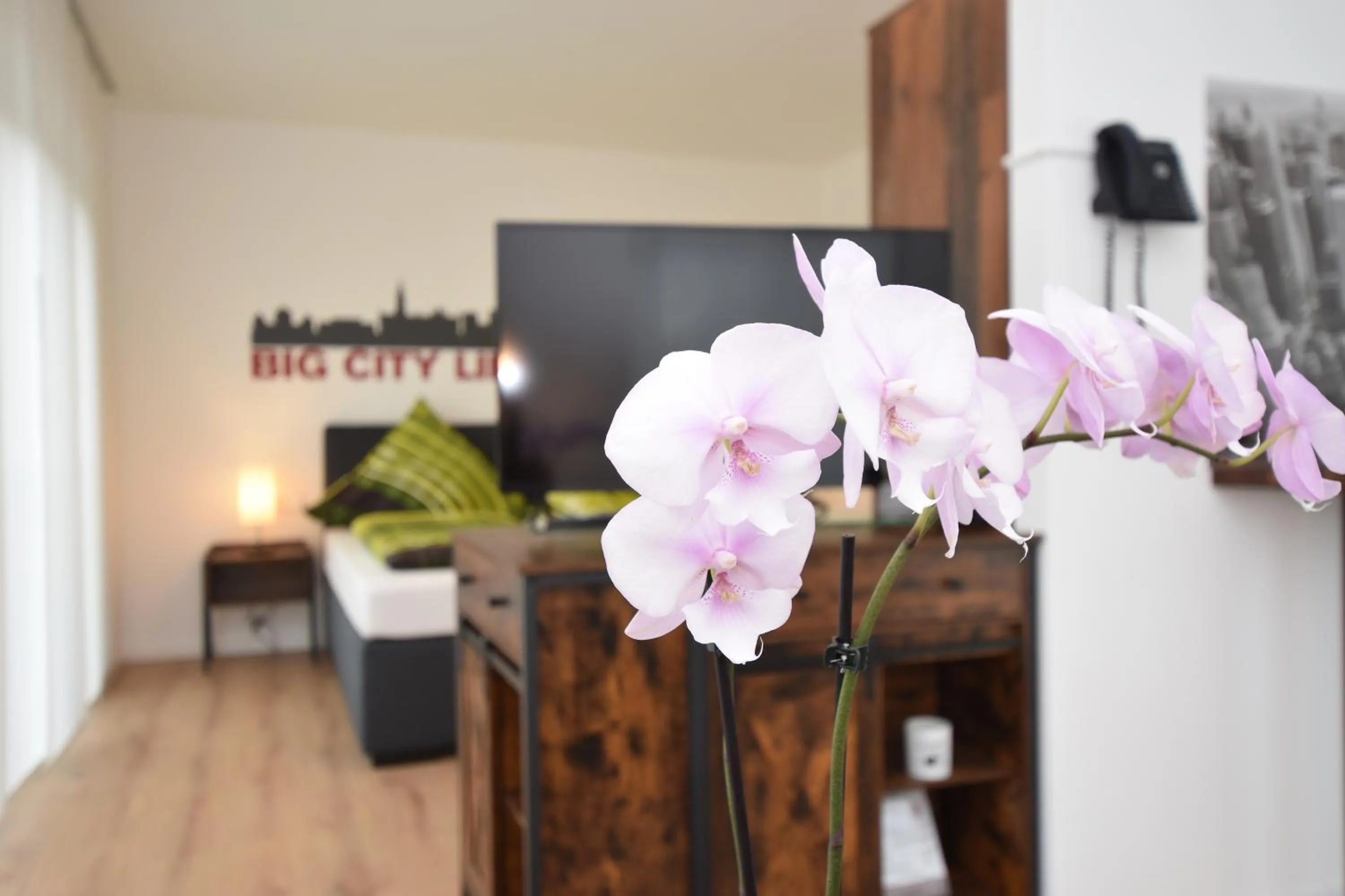 TV and multimedia in Boardinghouse Henschelstraße