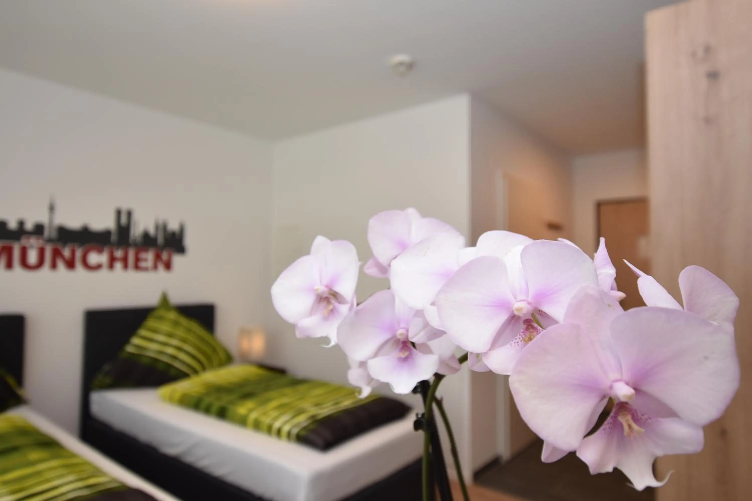 Living room, Bed in Boardinghouse Henschelstraße