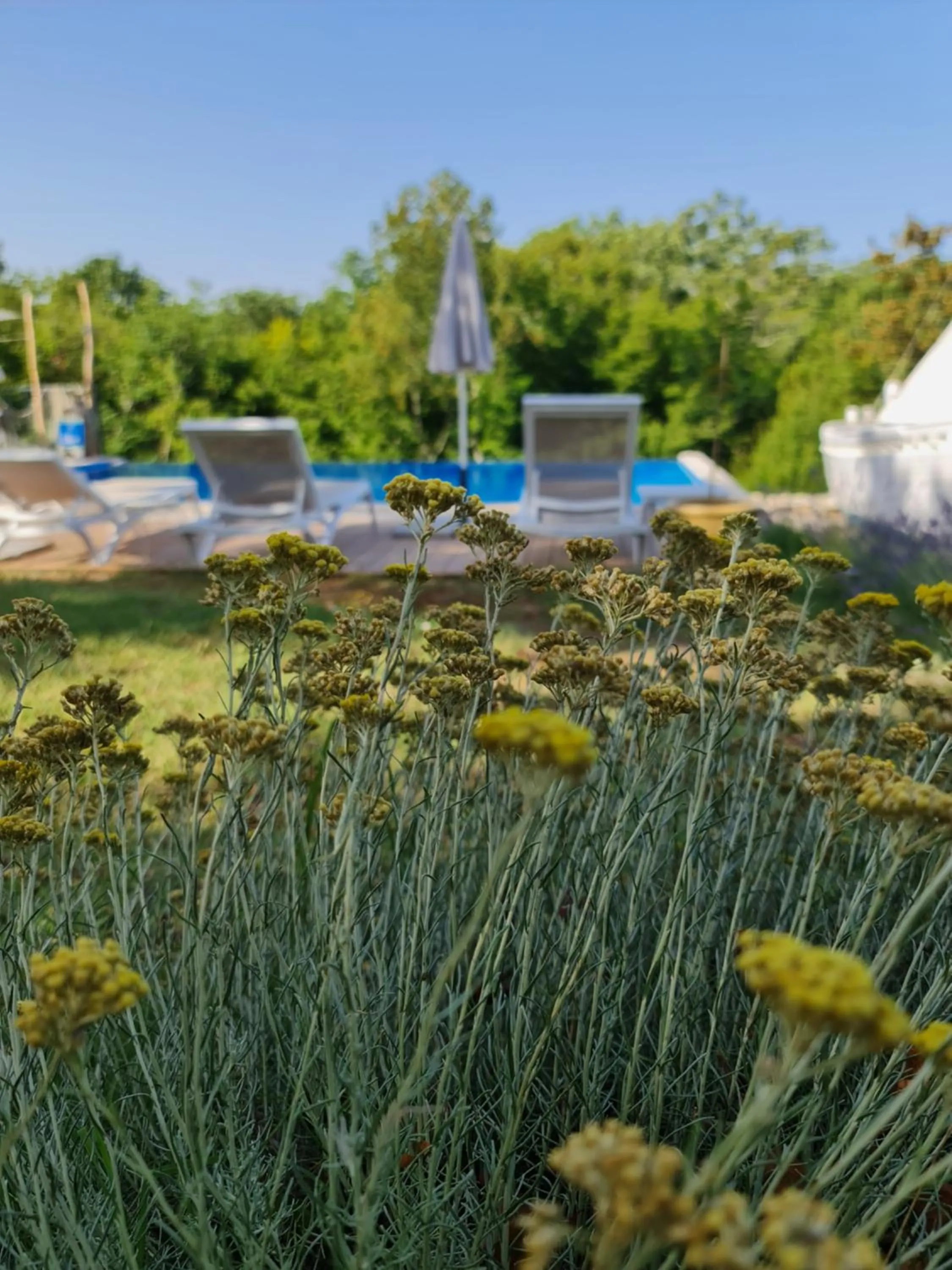 Garden in Boutique Resort OSMA - Adults Only