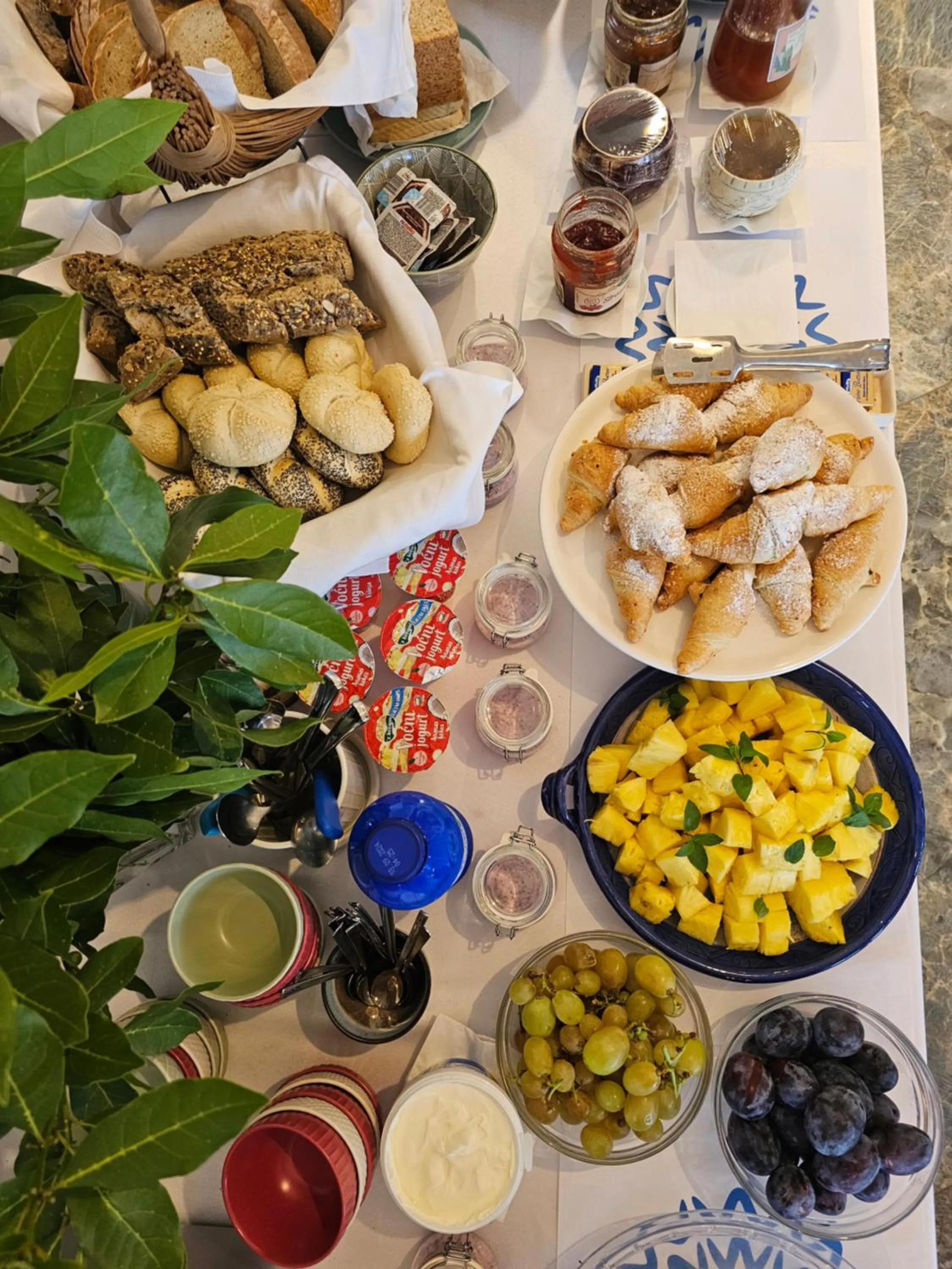 Food and drinks in Boutique Resort OSMA - Adults Only