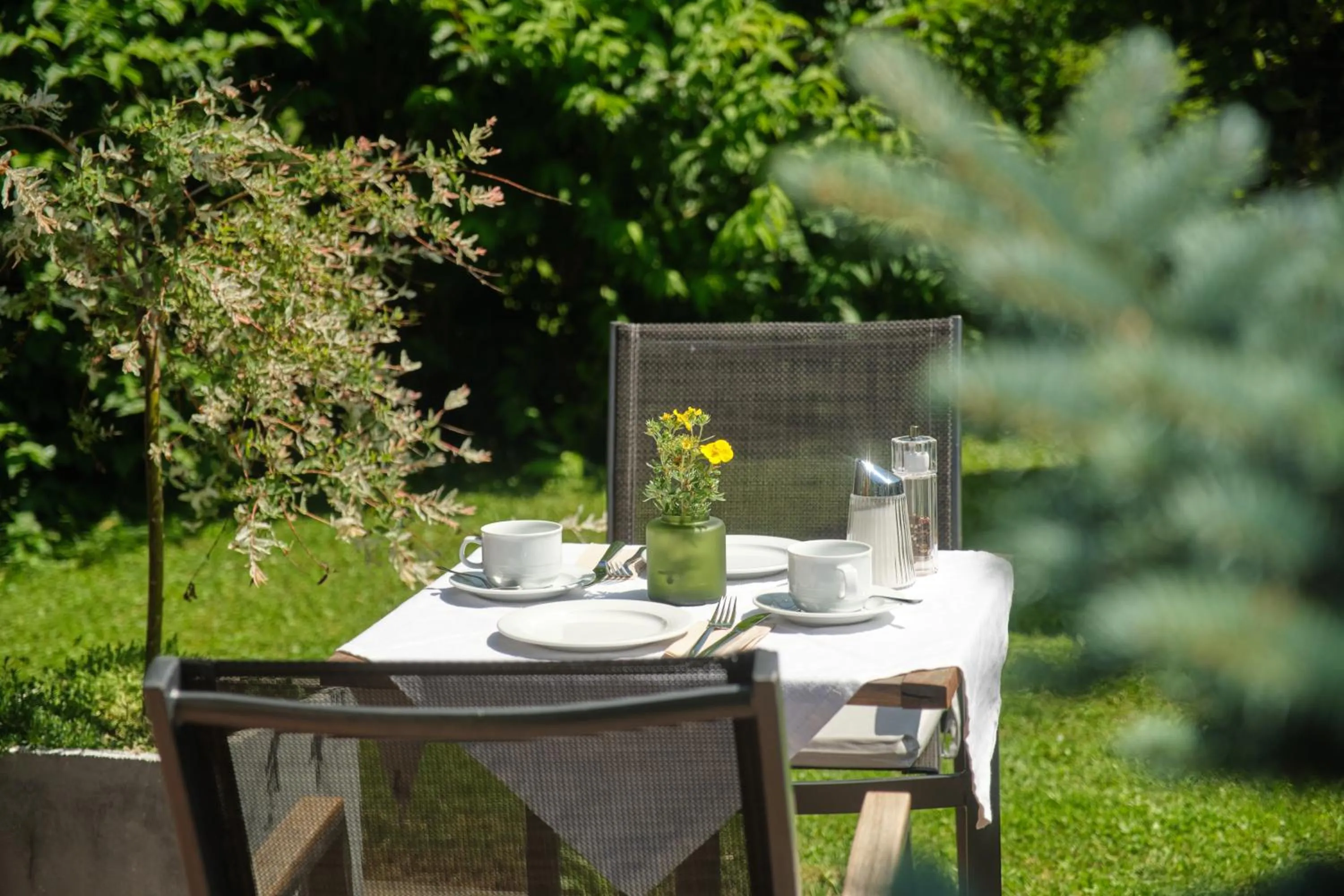Garden in Santner, Hotel