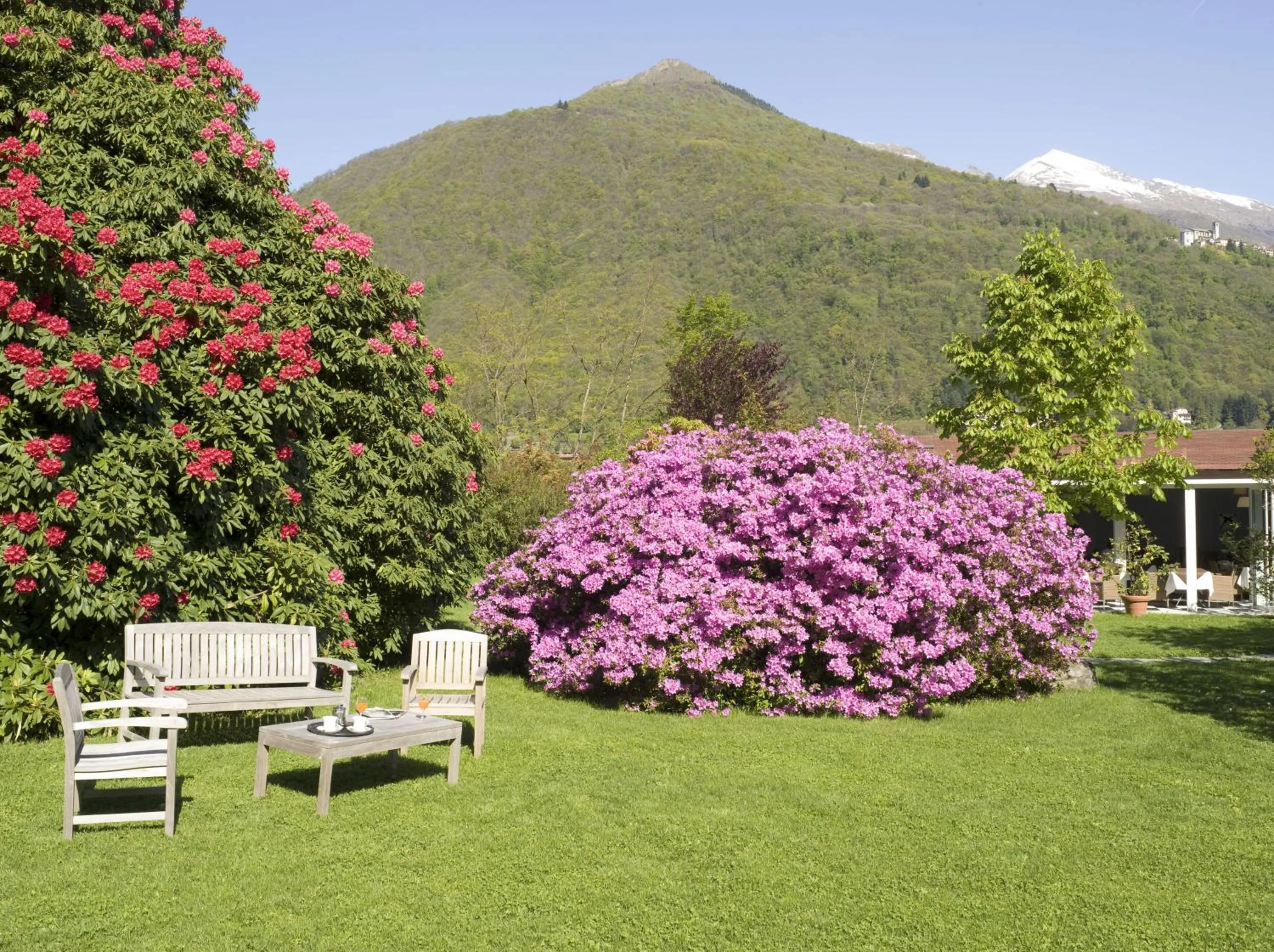 Garden in Park Hotel Villa Belvedere