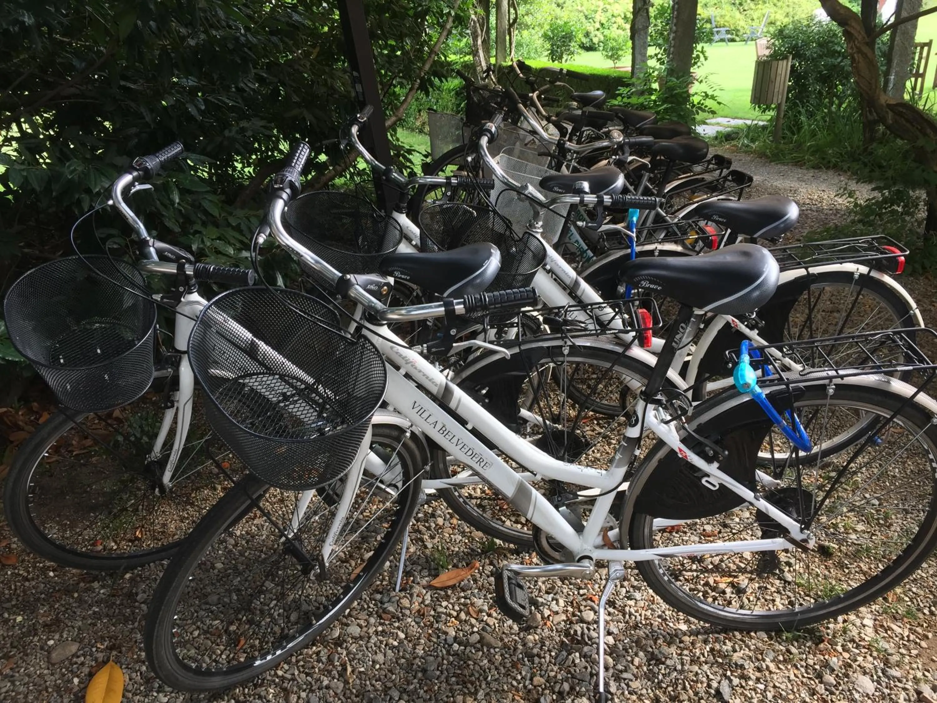 Cycling in Park Hotel Villa Belvedere