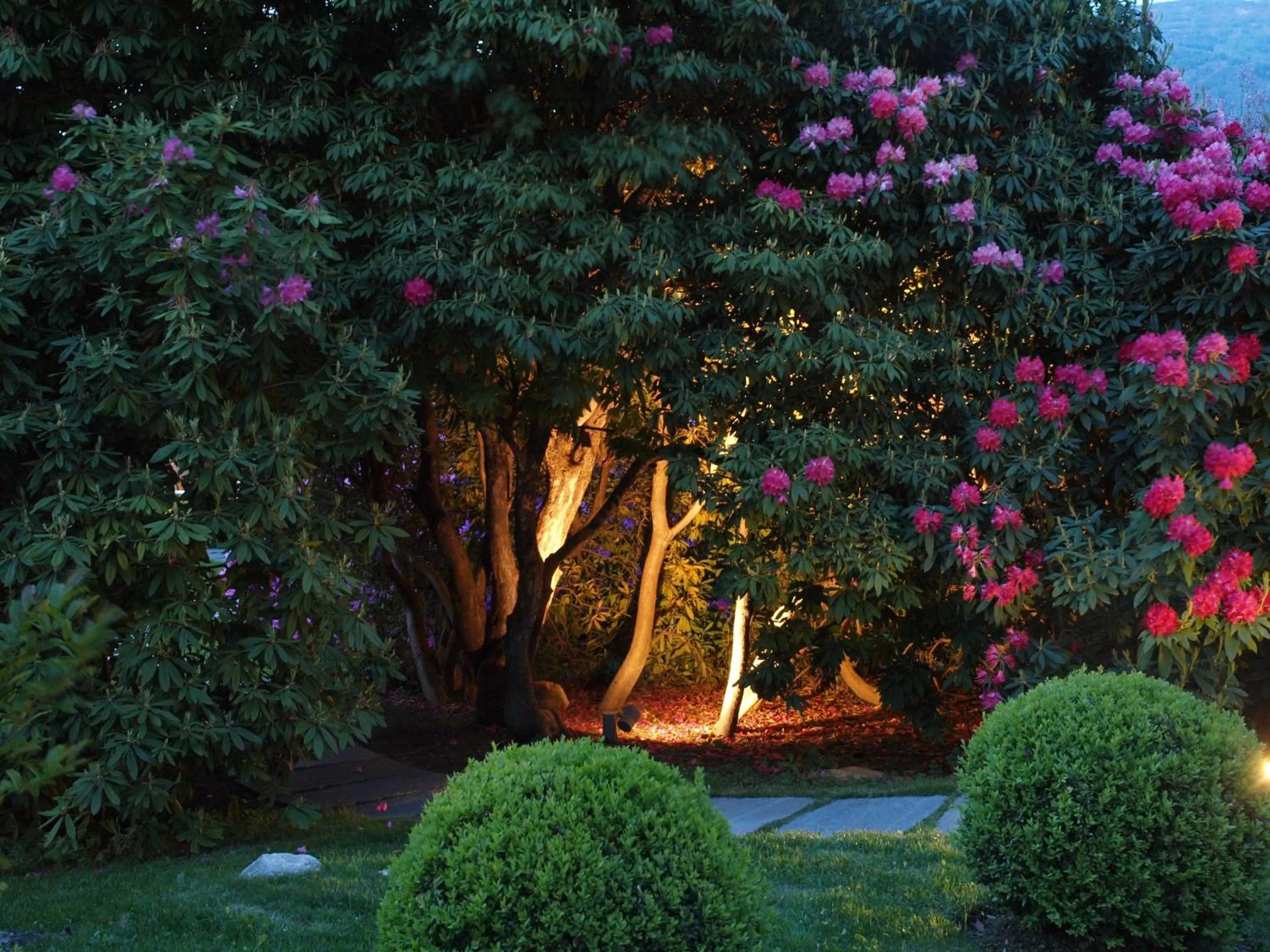 Garden in Park Hotel Villa Belvedere