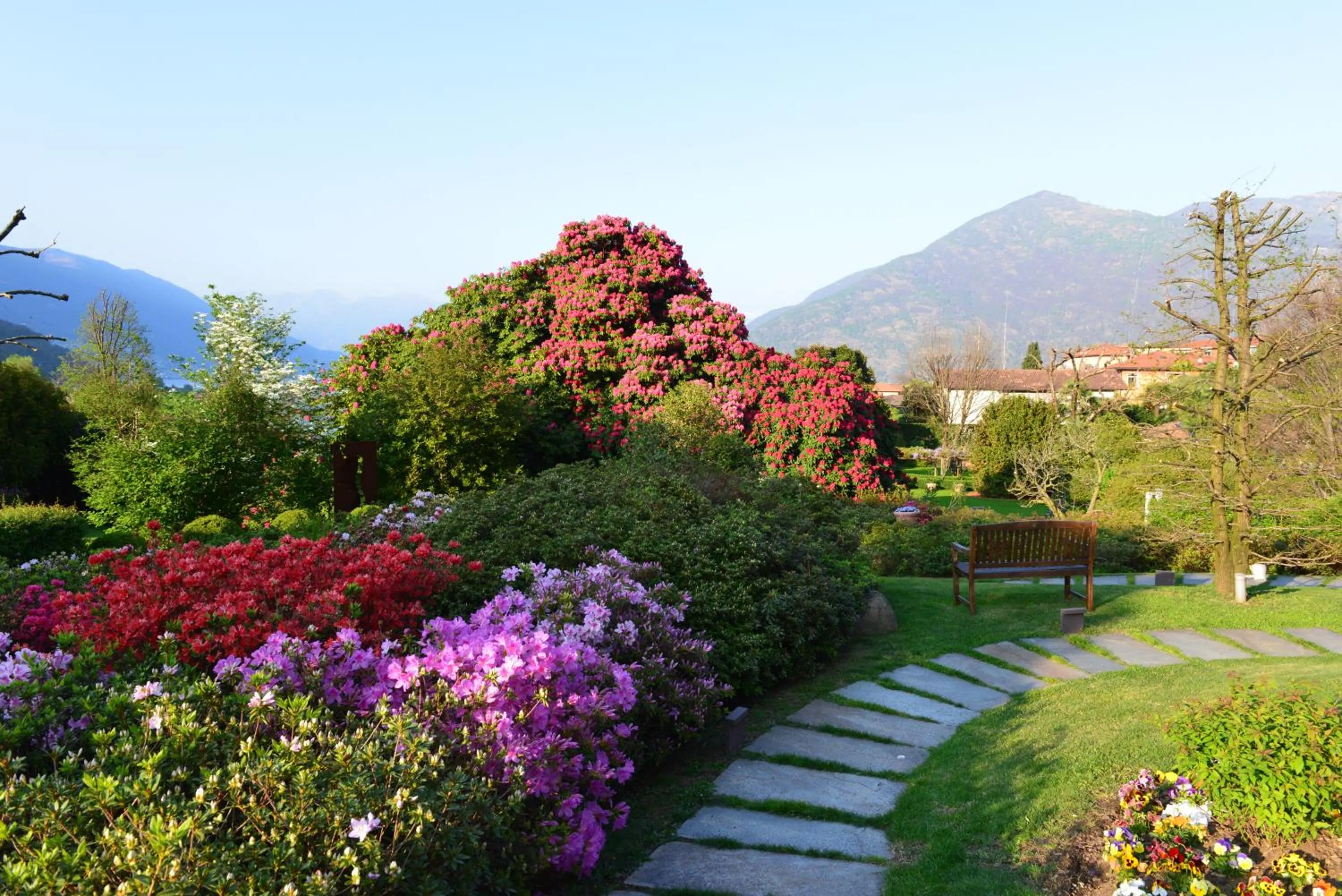 Garden in Park Hotel Villa Belvedere