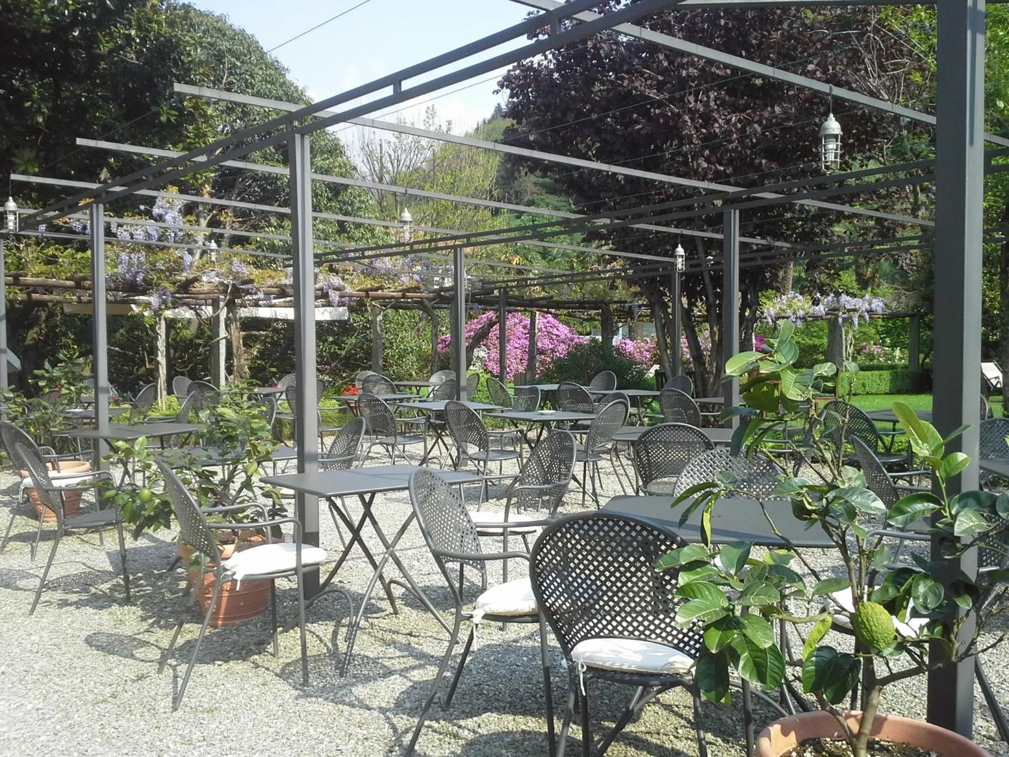 Lounge or bar in Park Hotel Villa Belvedere