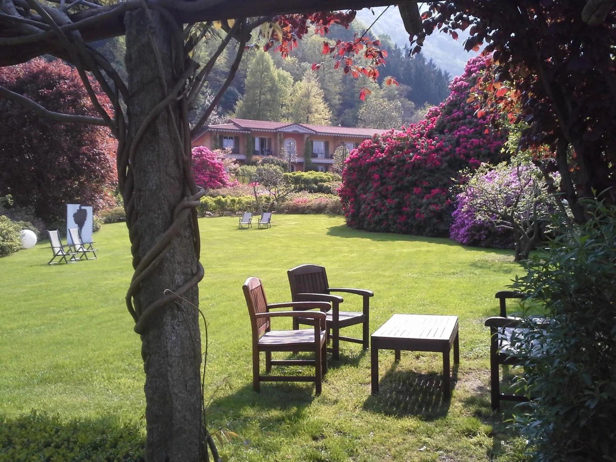 Garden view in Park Hotel Villa Belvedere