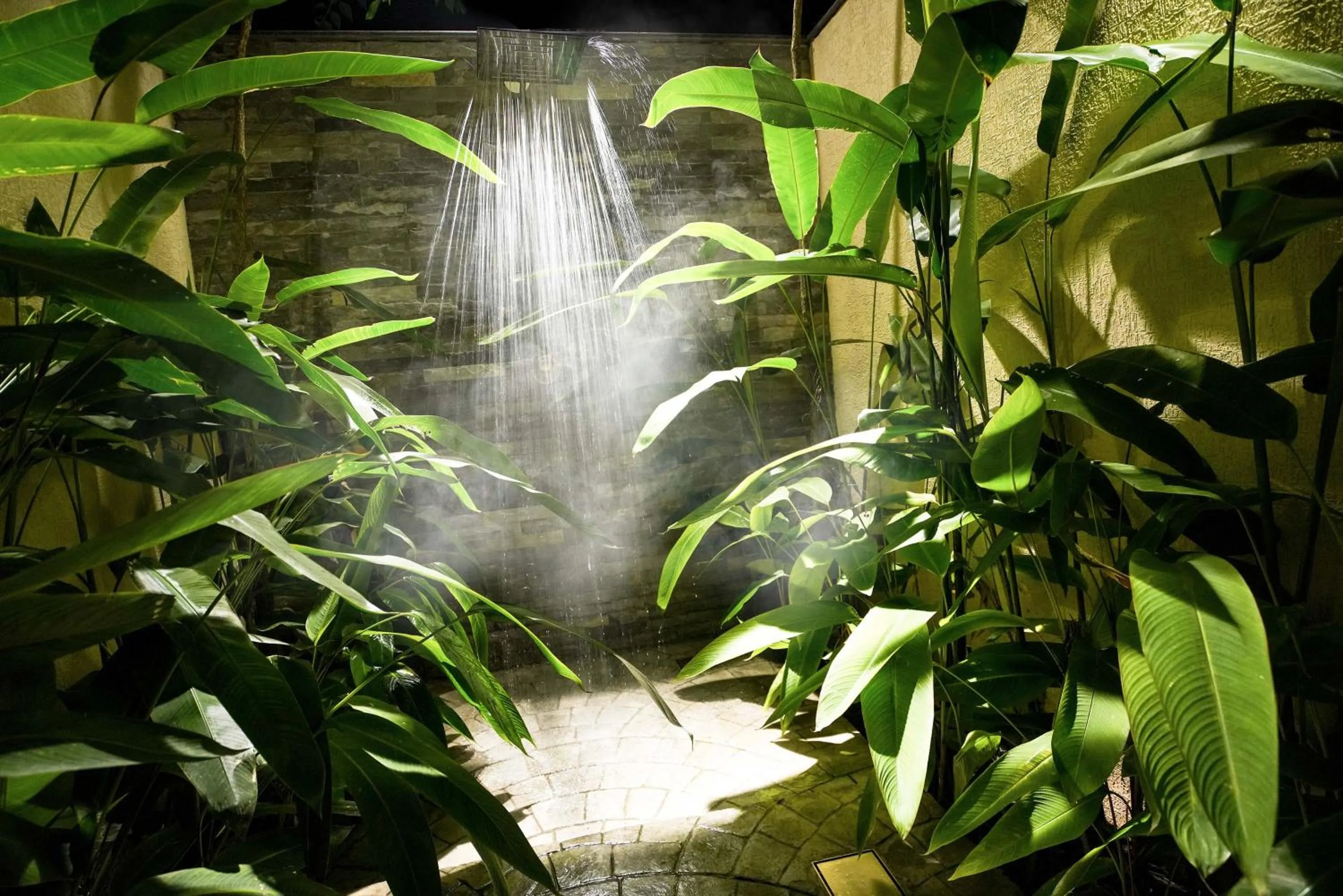 Bathroom in Rosetta Sakleshpur