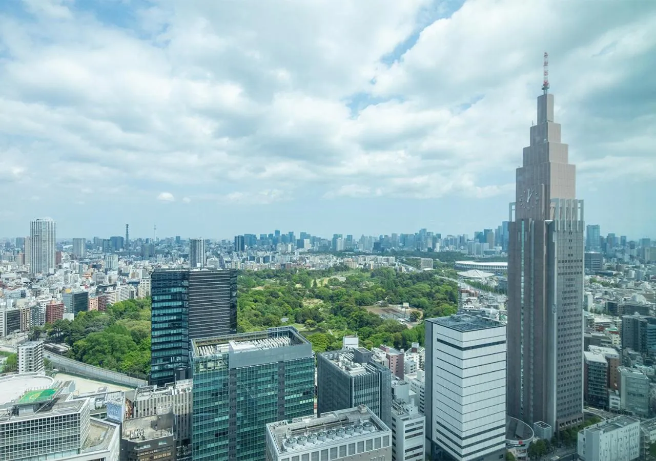 View (from property/room) in Odakyu Hotel Century Southern Tower