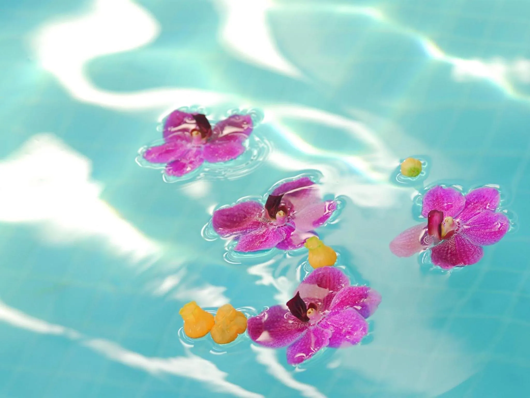 Swimming pool in Laguna Garden Hotel