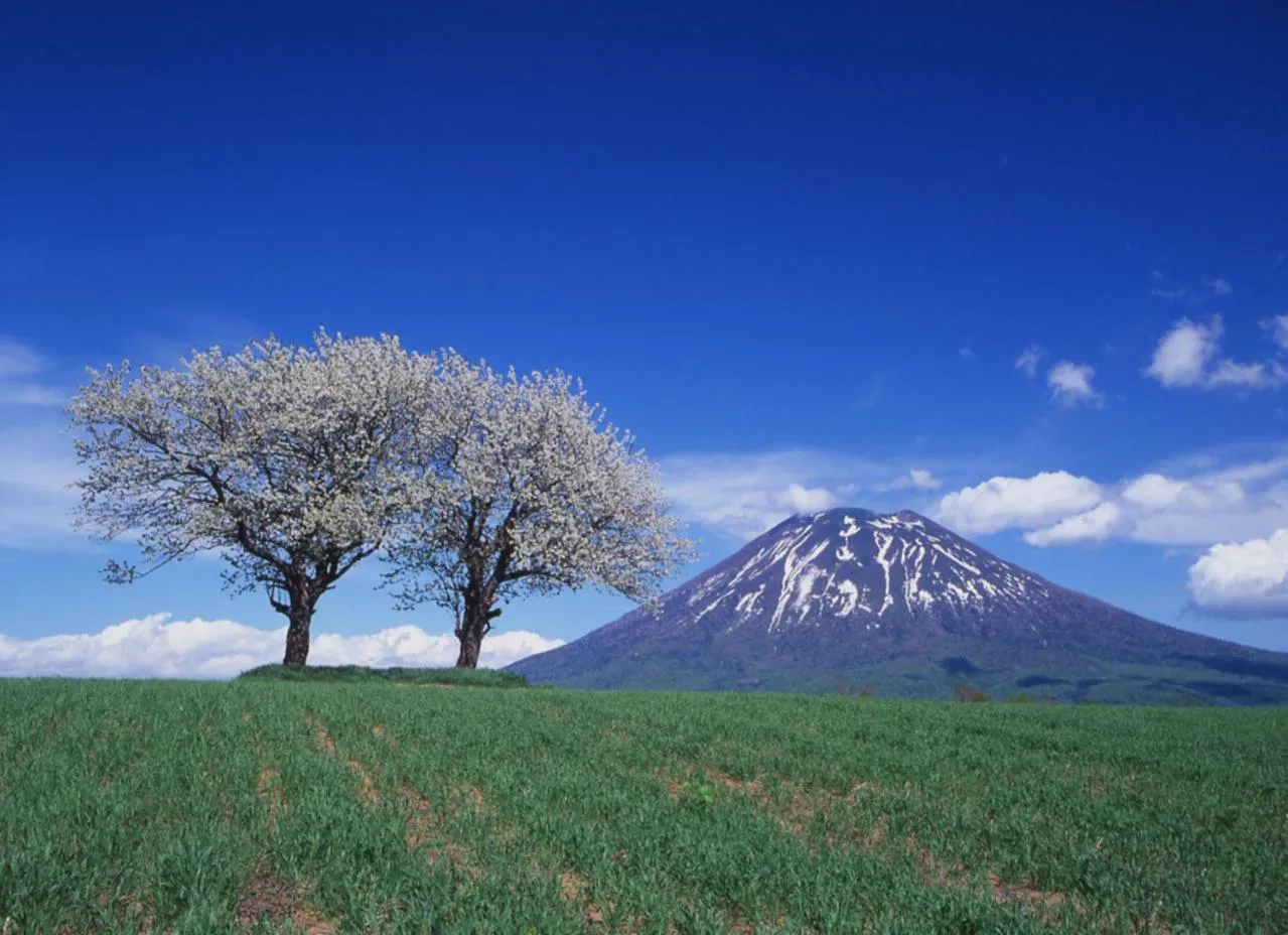Natural landscape in Niseko Northern Resort, An'nupuri