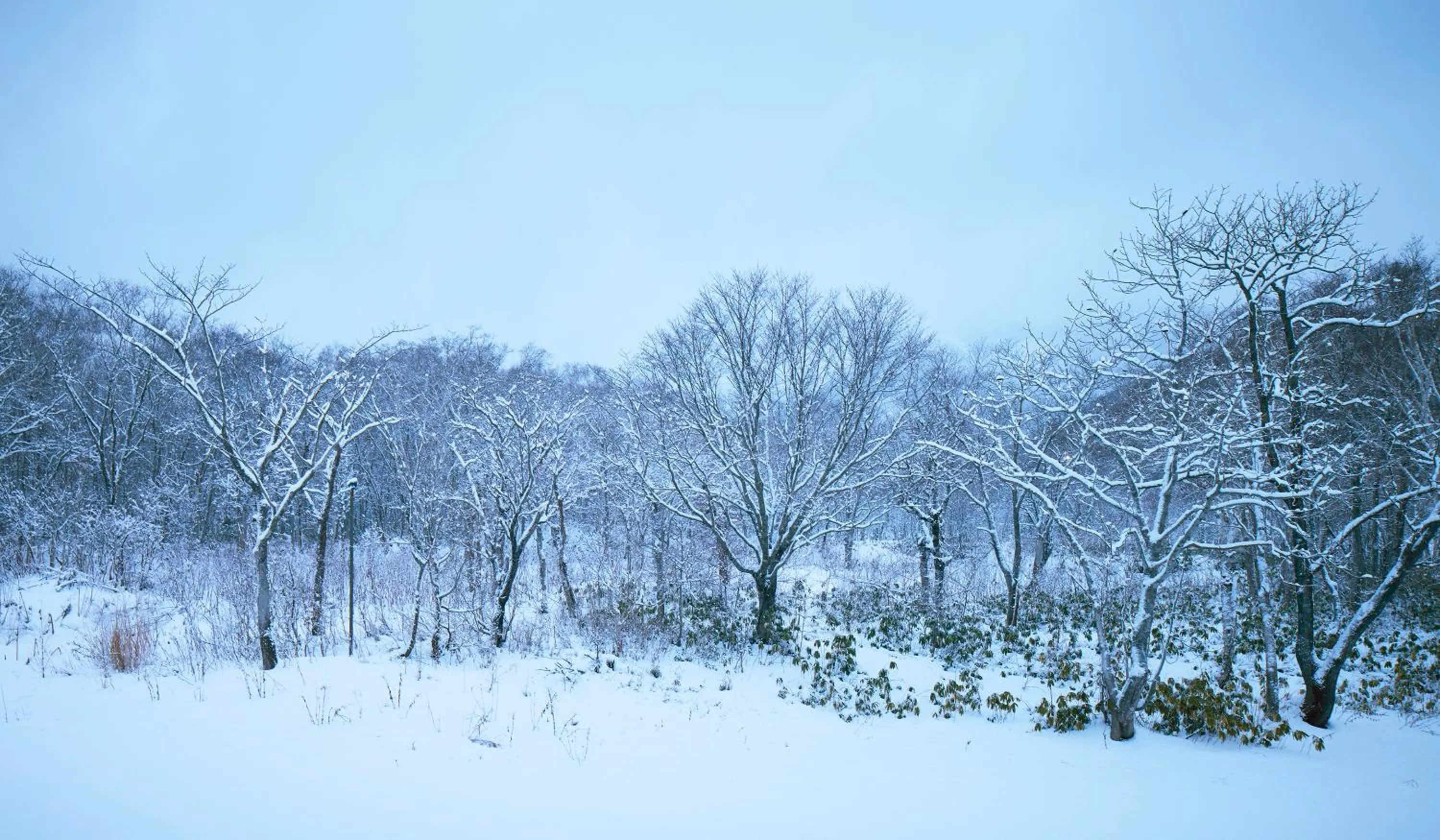 Natural landscape in Niseko Northern Resort, An'nupuri