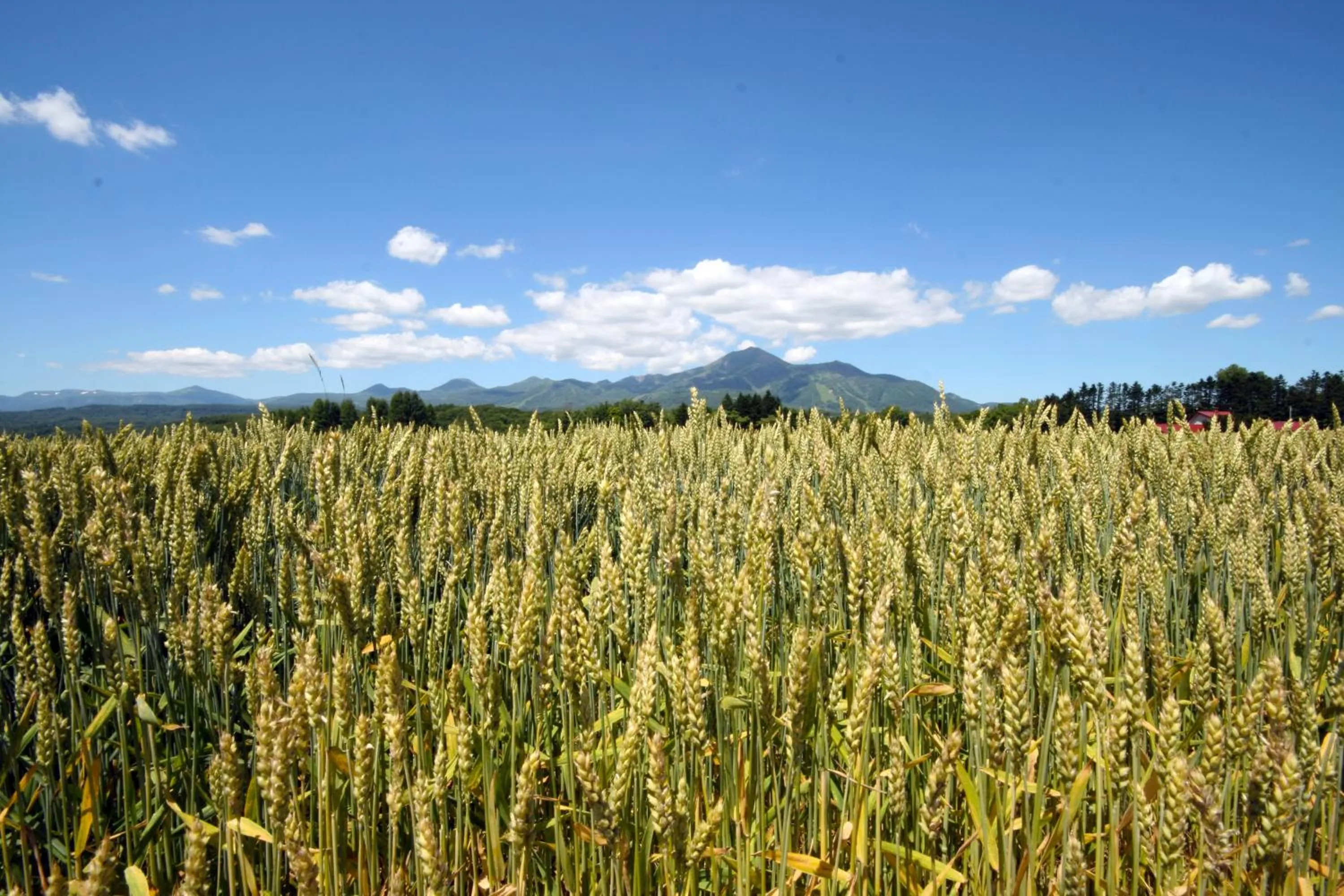 Nearby landmark in Niseko Northern Resort, An'nupuri