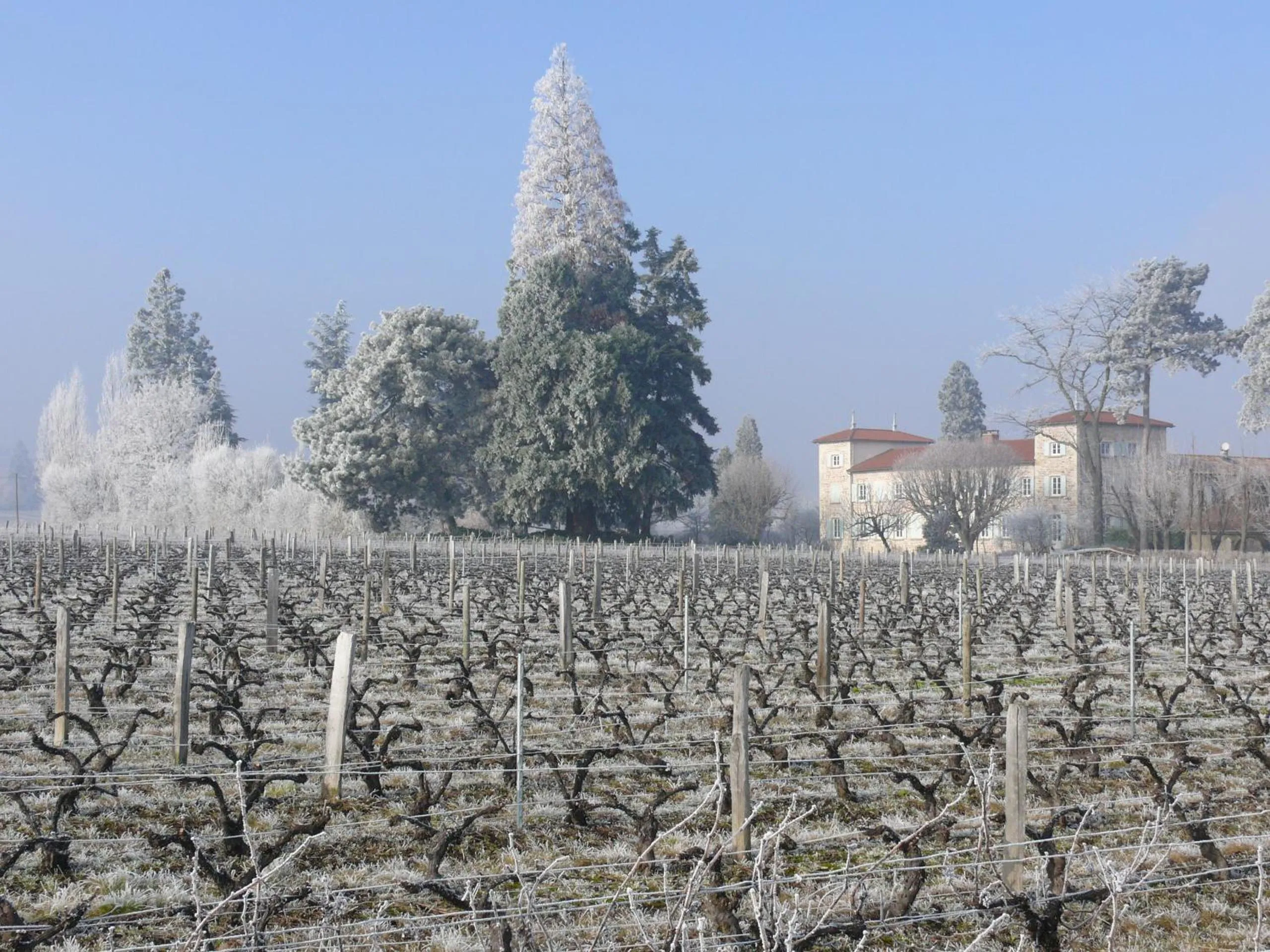 Property building in Château de Grandmont - Escale authentique au coeur des vignes