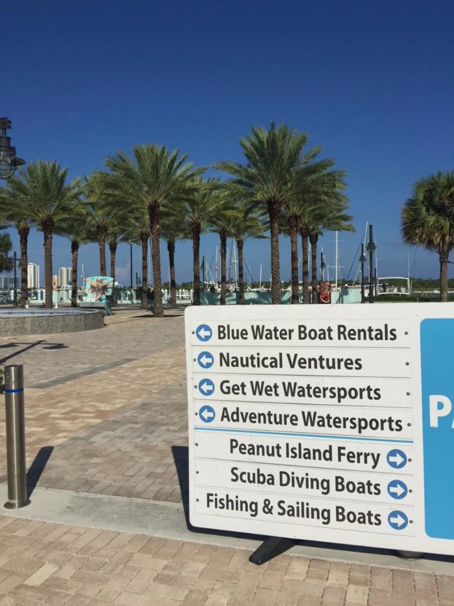 Day in Mermaid's Cottage