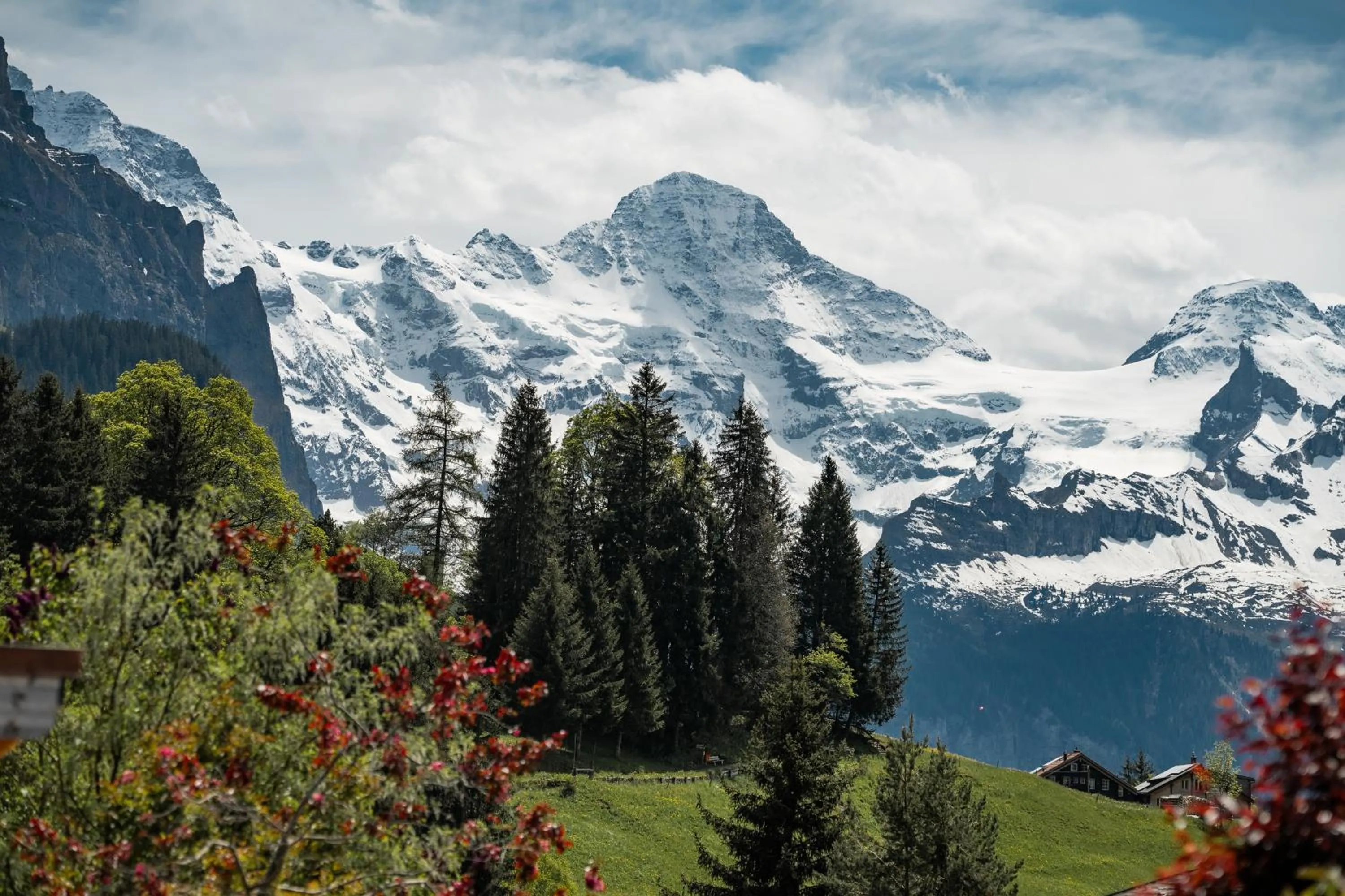 Spring in Braunbär Hotel & Spa - Former Alpine Sunstar Hotel