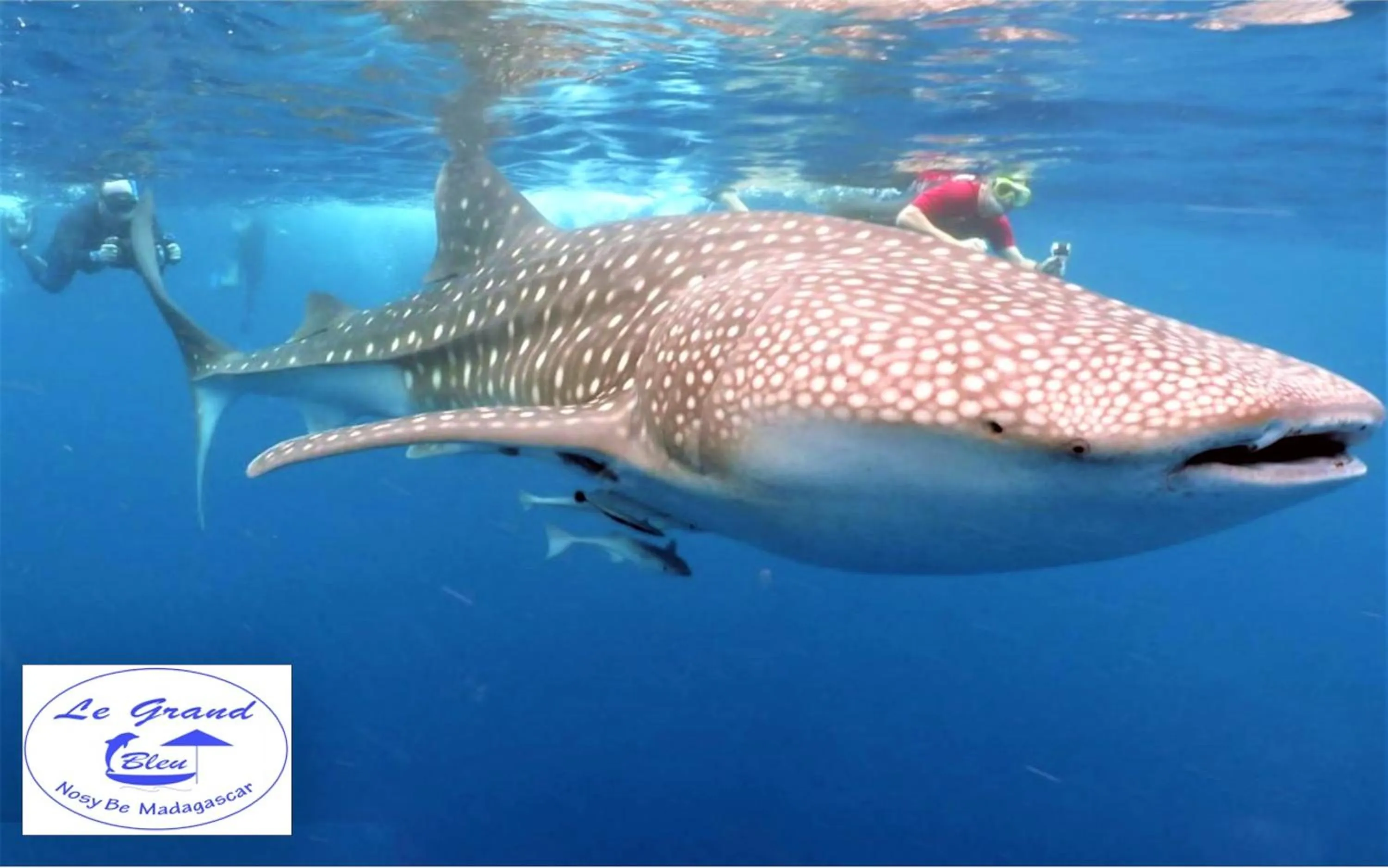 Snorkeling in Le Grand Bleu
