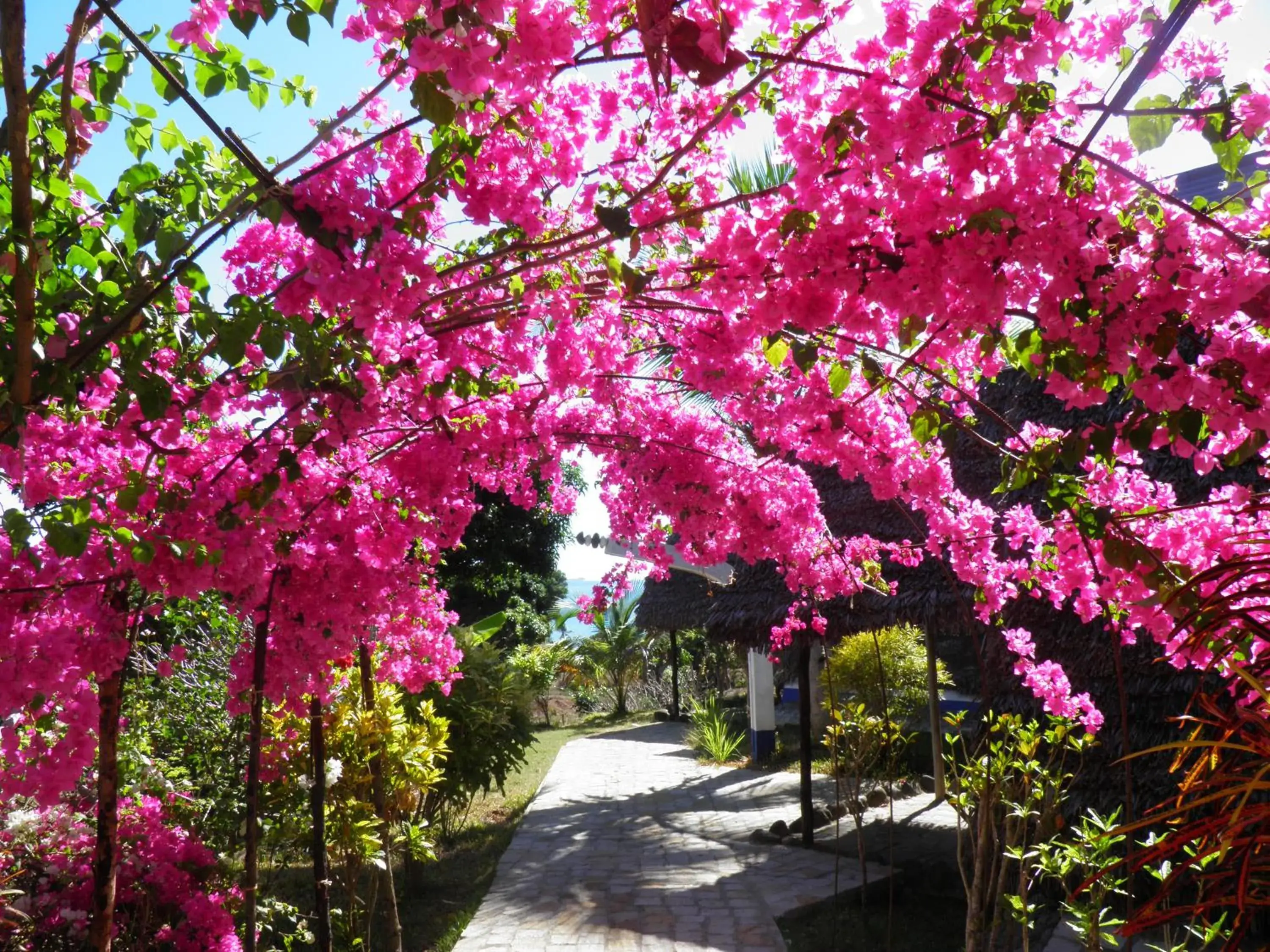 Bungalow with Garden View in Le Grand Bleu Bungalow with Garden View in Le Grand Bleu