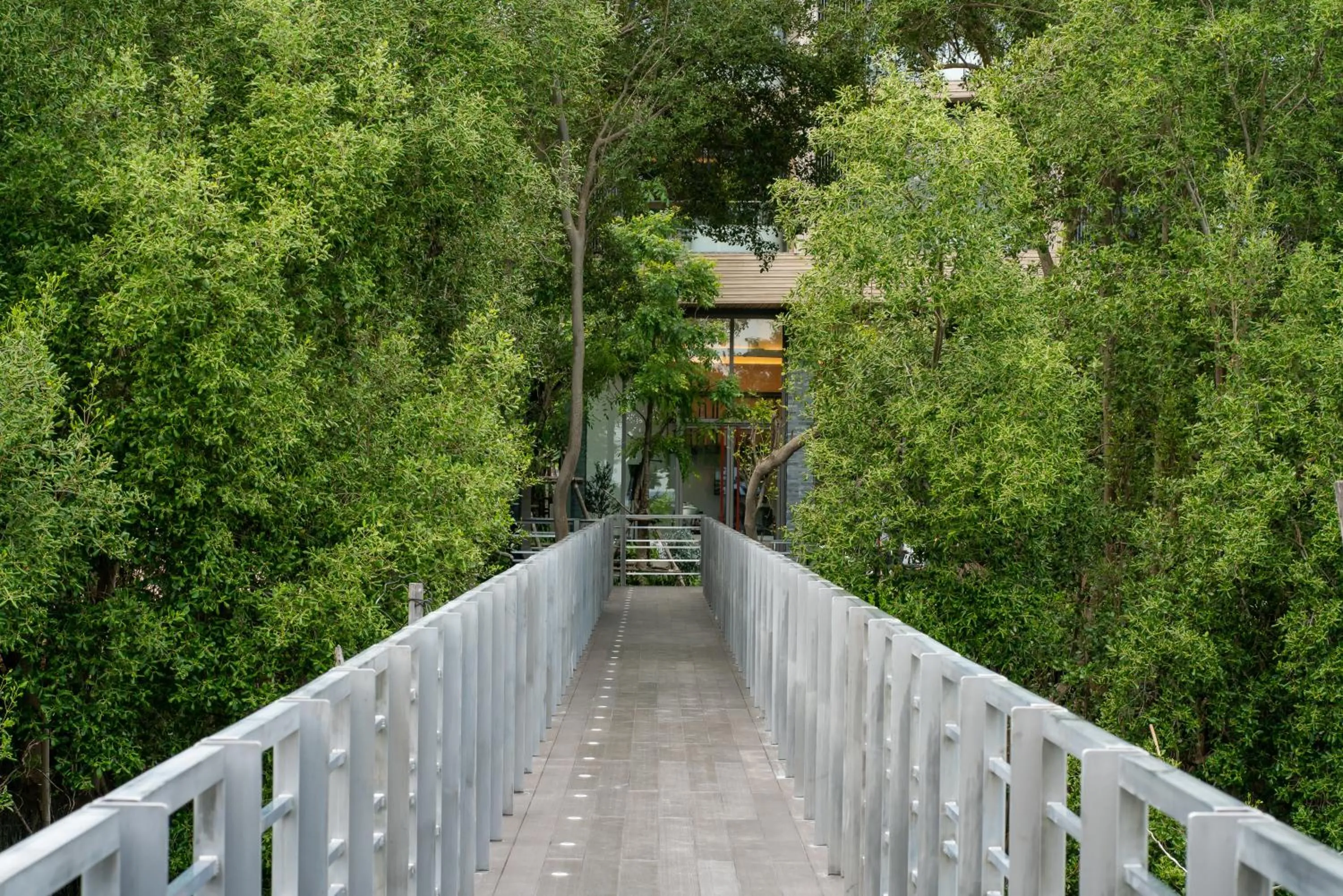 Natural landscape in Bayphere Hotel Pattaya JC