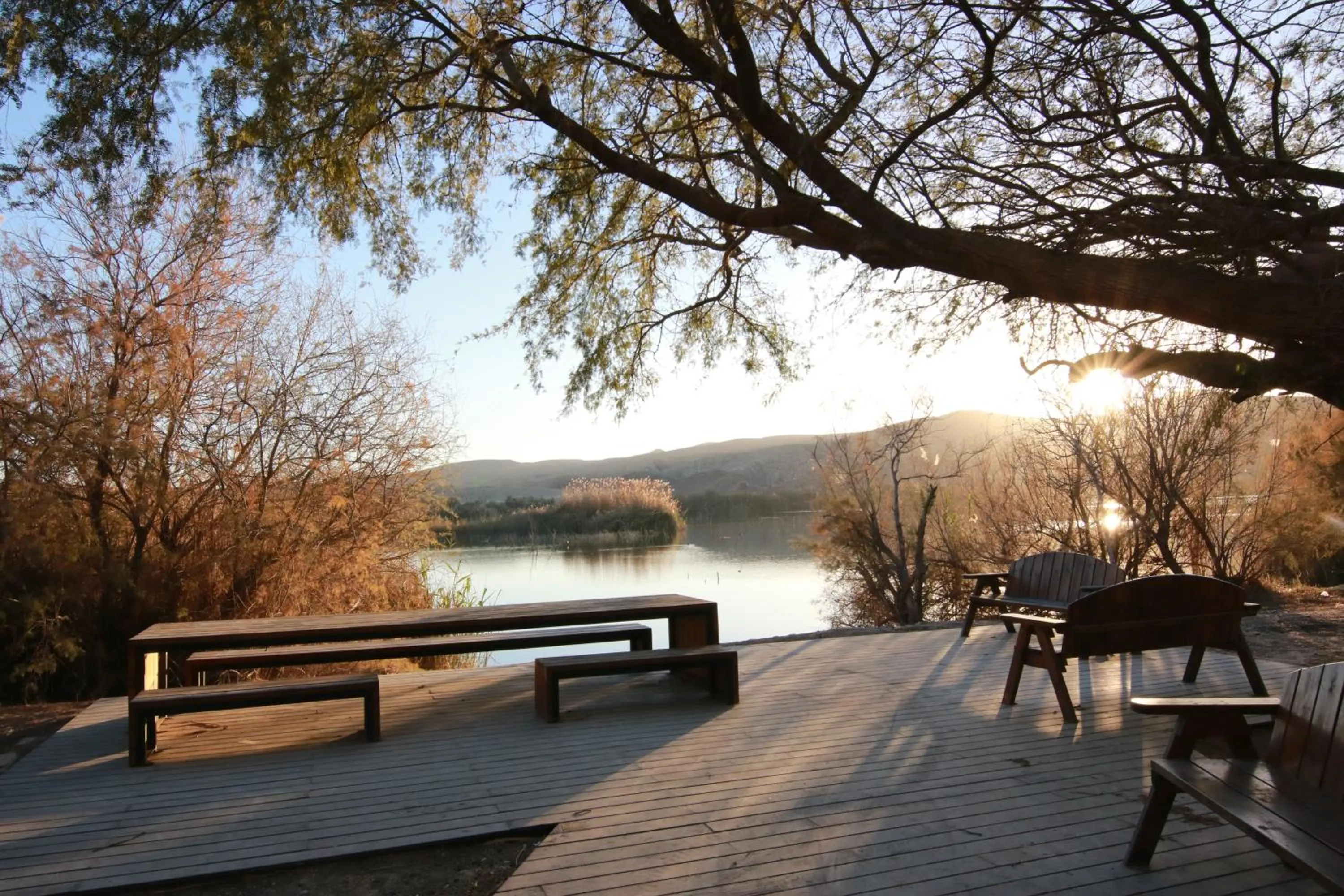 עדן במדבר - eden in desert