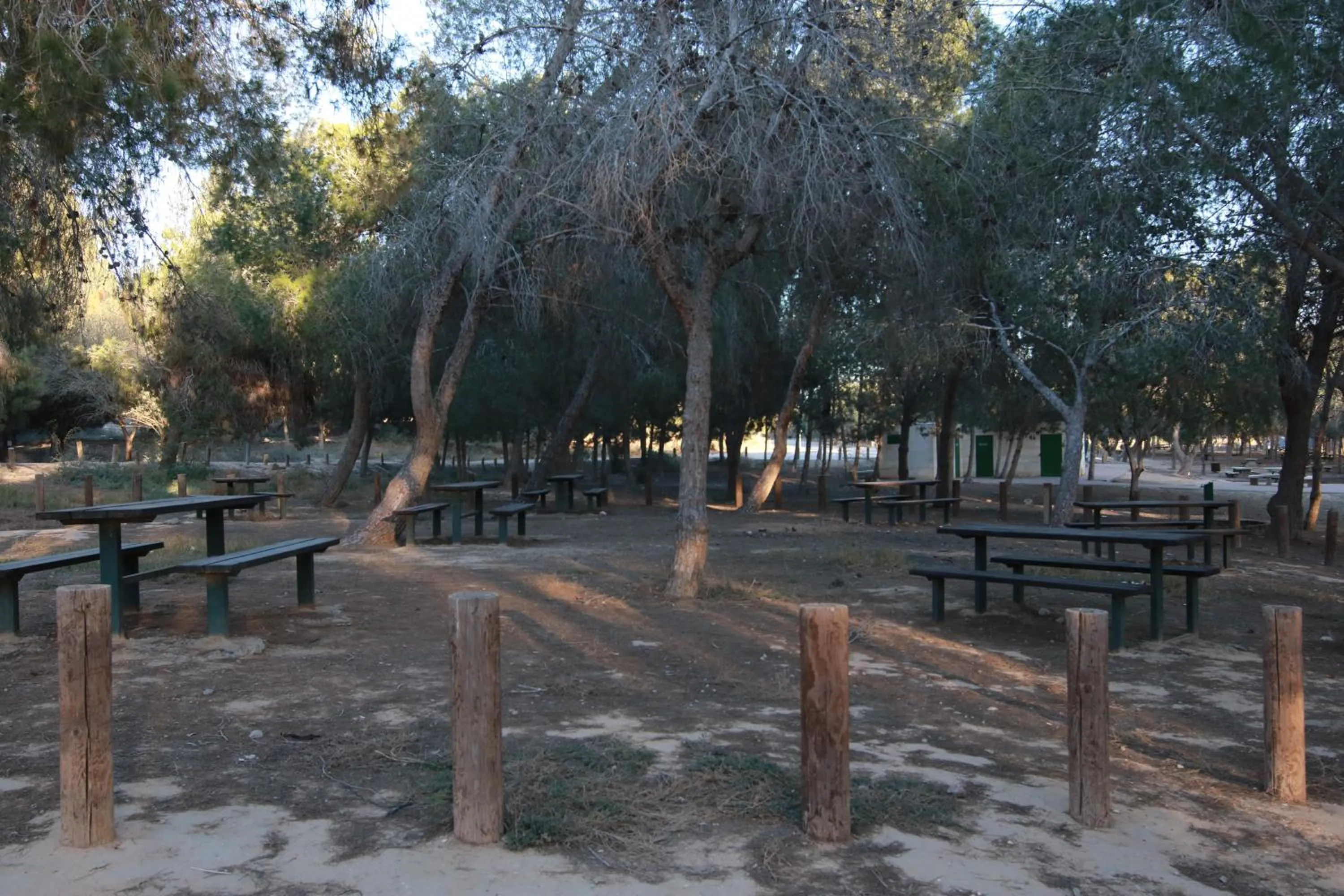 עדן במדבר - eden in desert