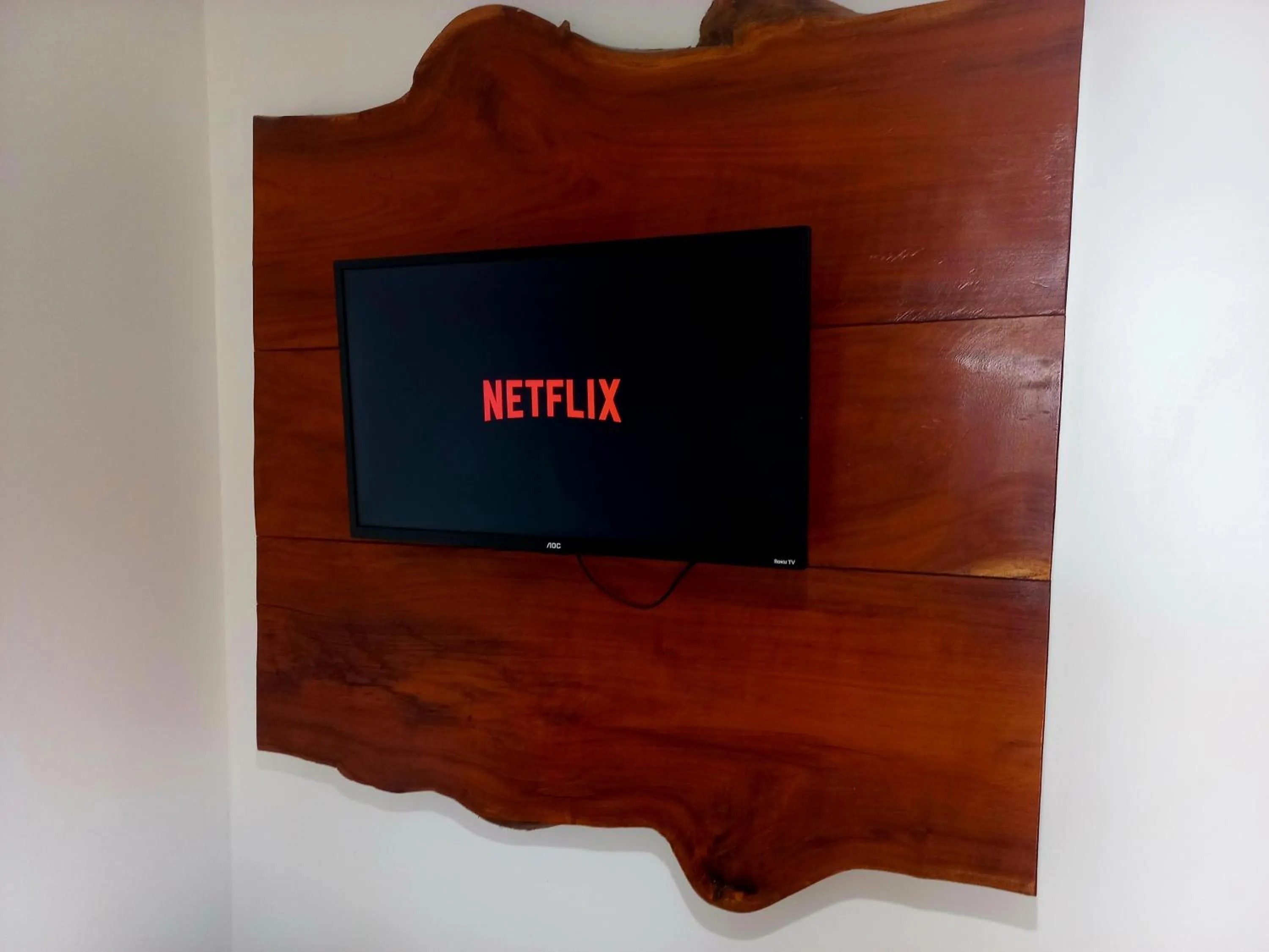 TV and multimedia in Chalé Palhano Beach