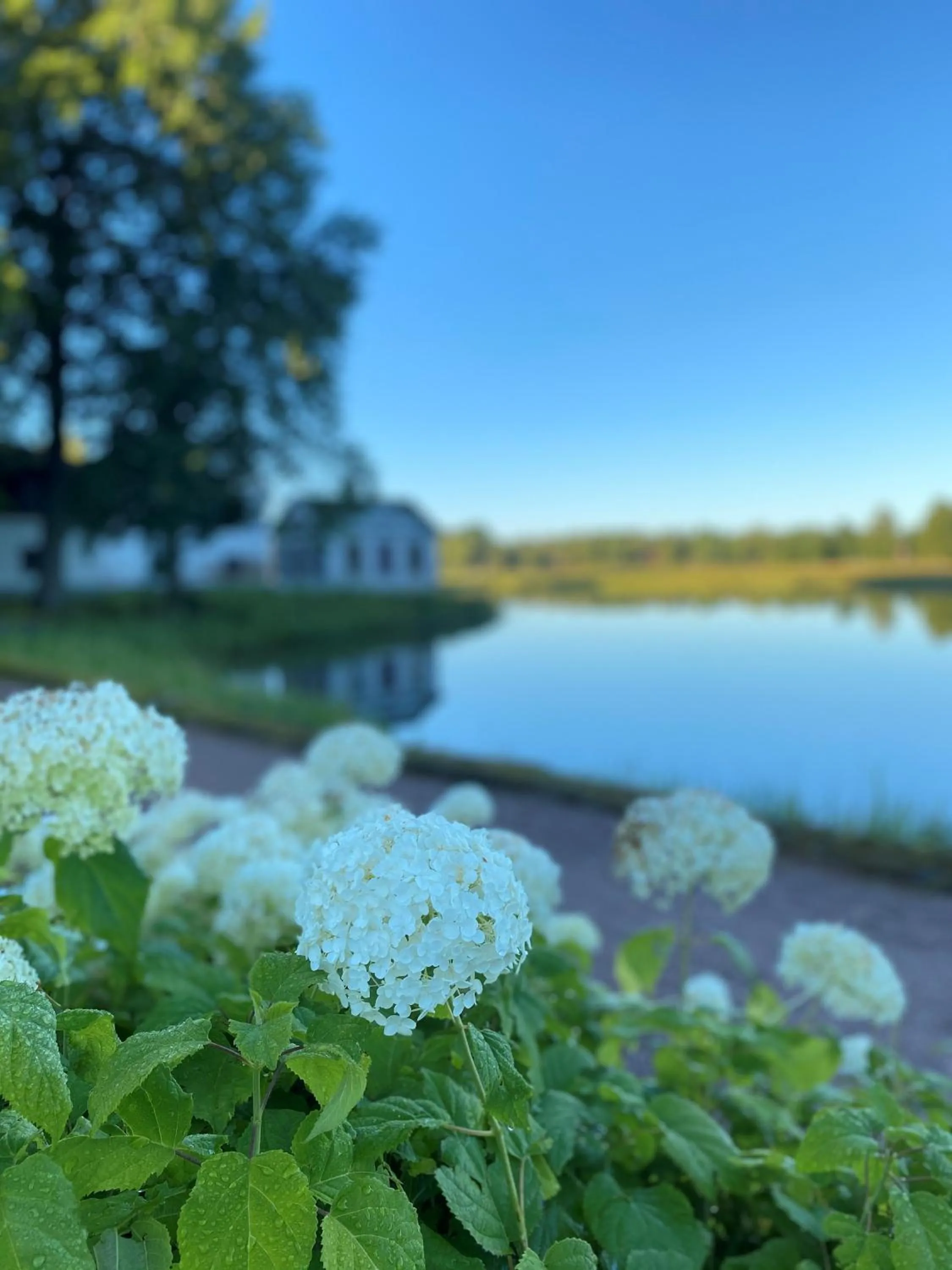 Day in Gysinge Herrgård