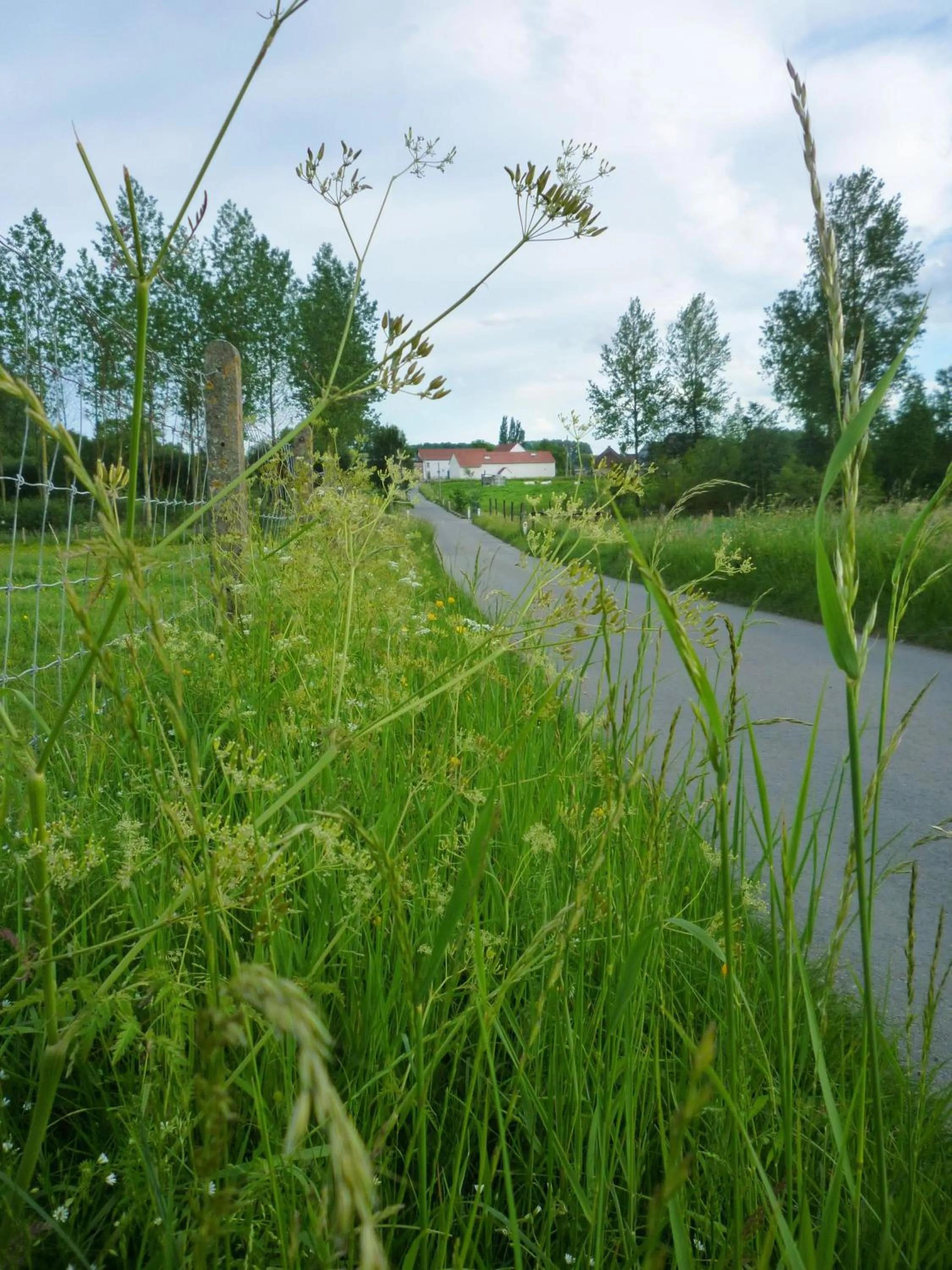 Natural landscape in Het Verblijf