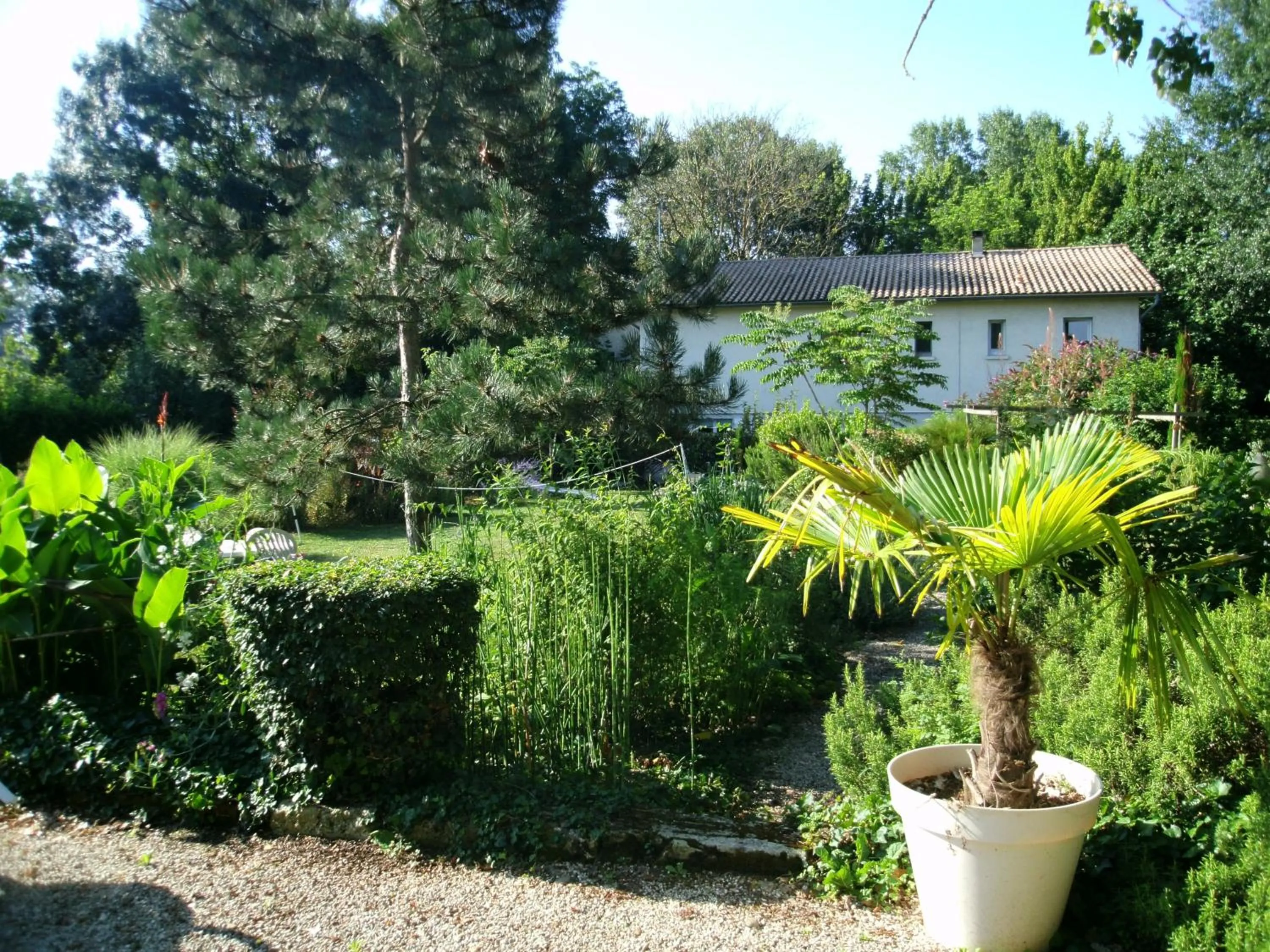 Garden in Le chalet du Bord de l'eau