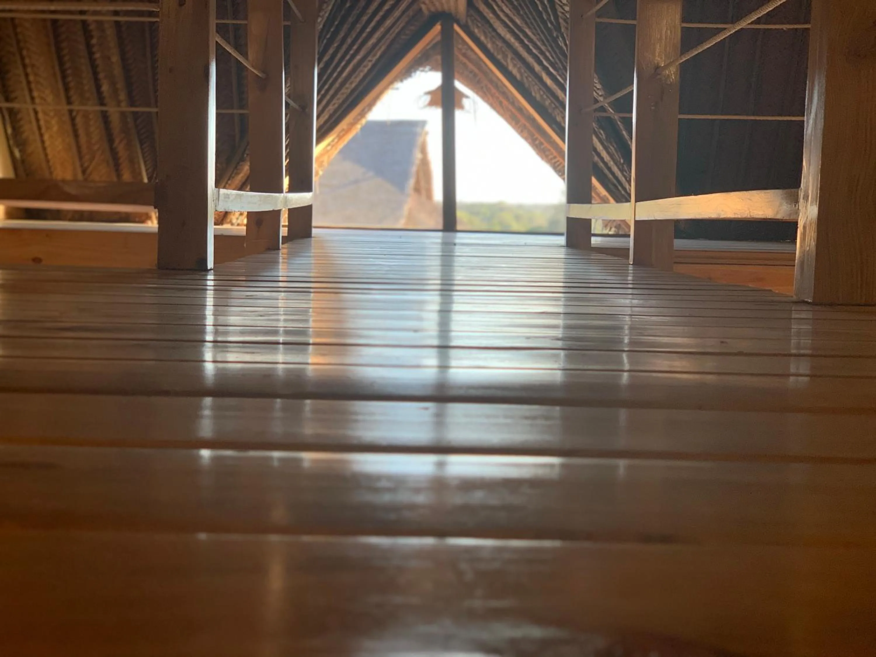 View (from property/room) in Zanzibar Tropical Sunset Boutique Hotel - Adults Only