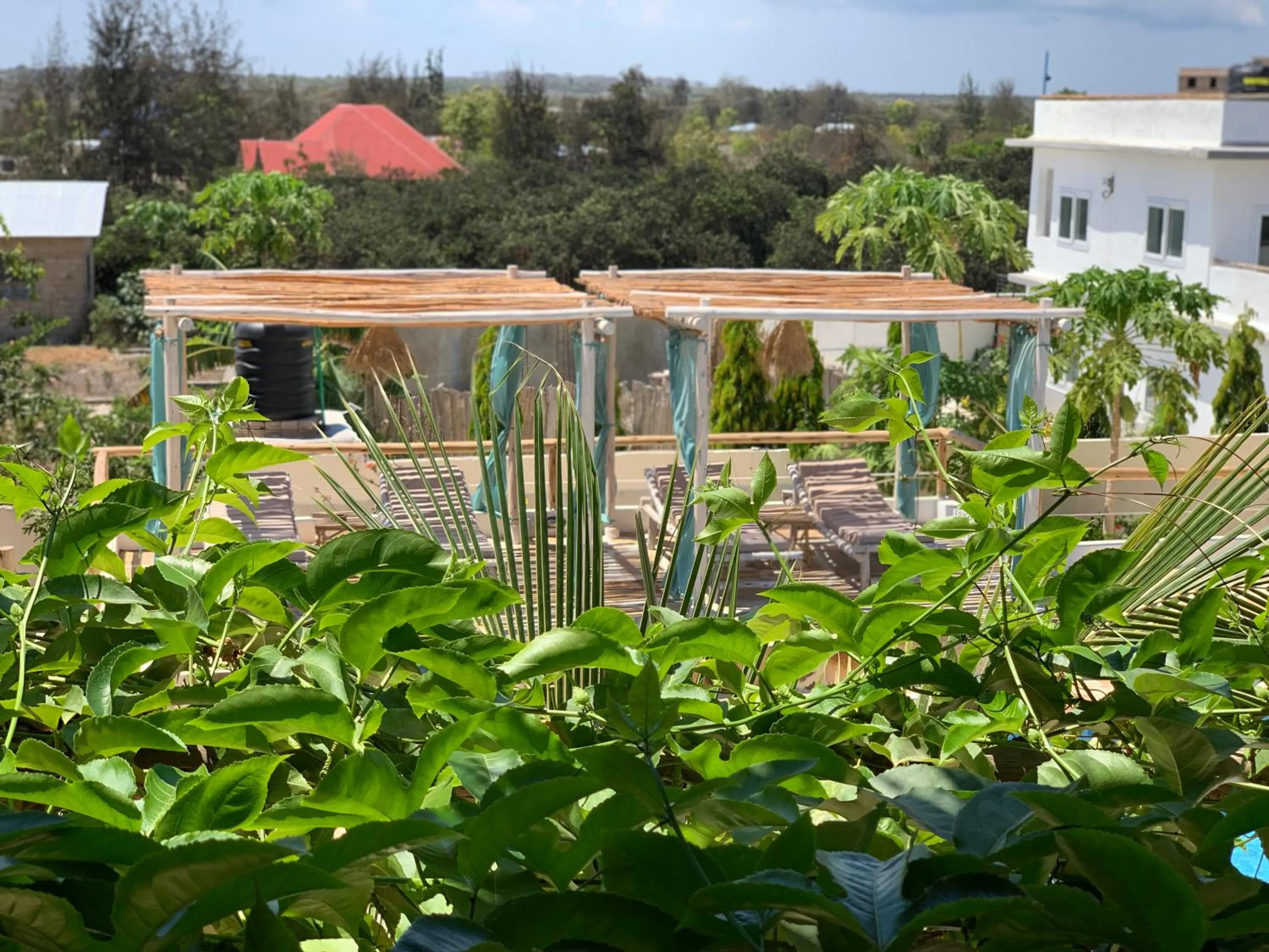 Garden in Zanzibar Tropical Sunset Boutique Hotel - Adults Only