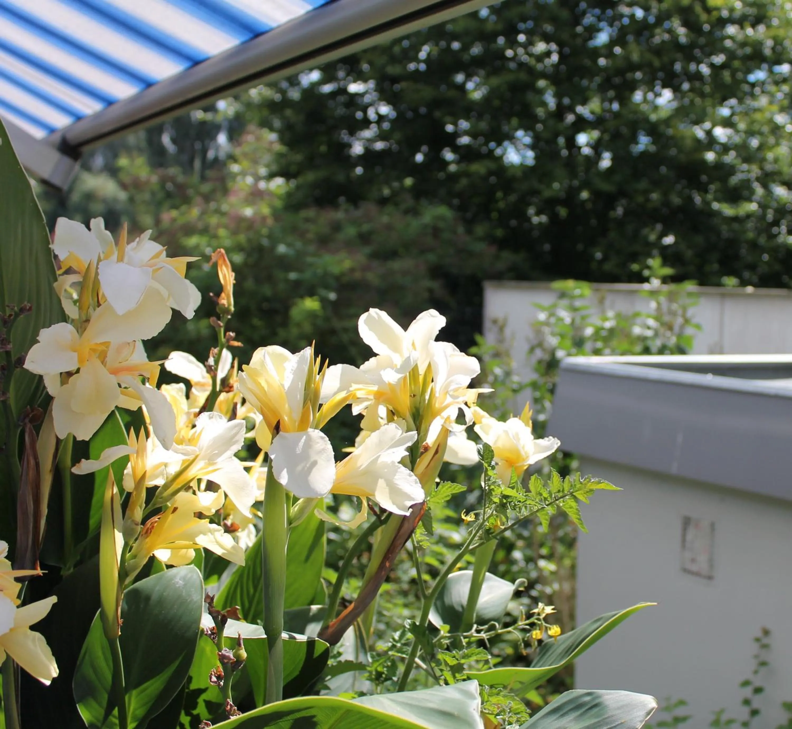 Balcony/Terrace in Hotel Wakenitzblick