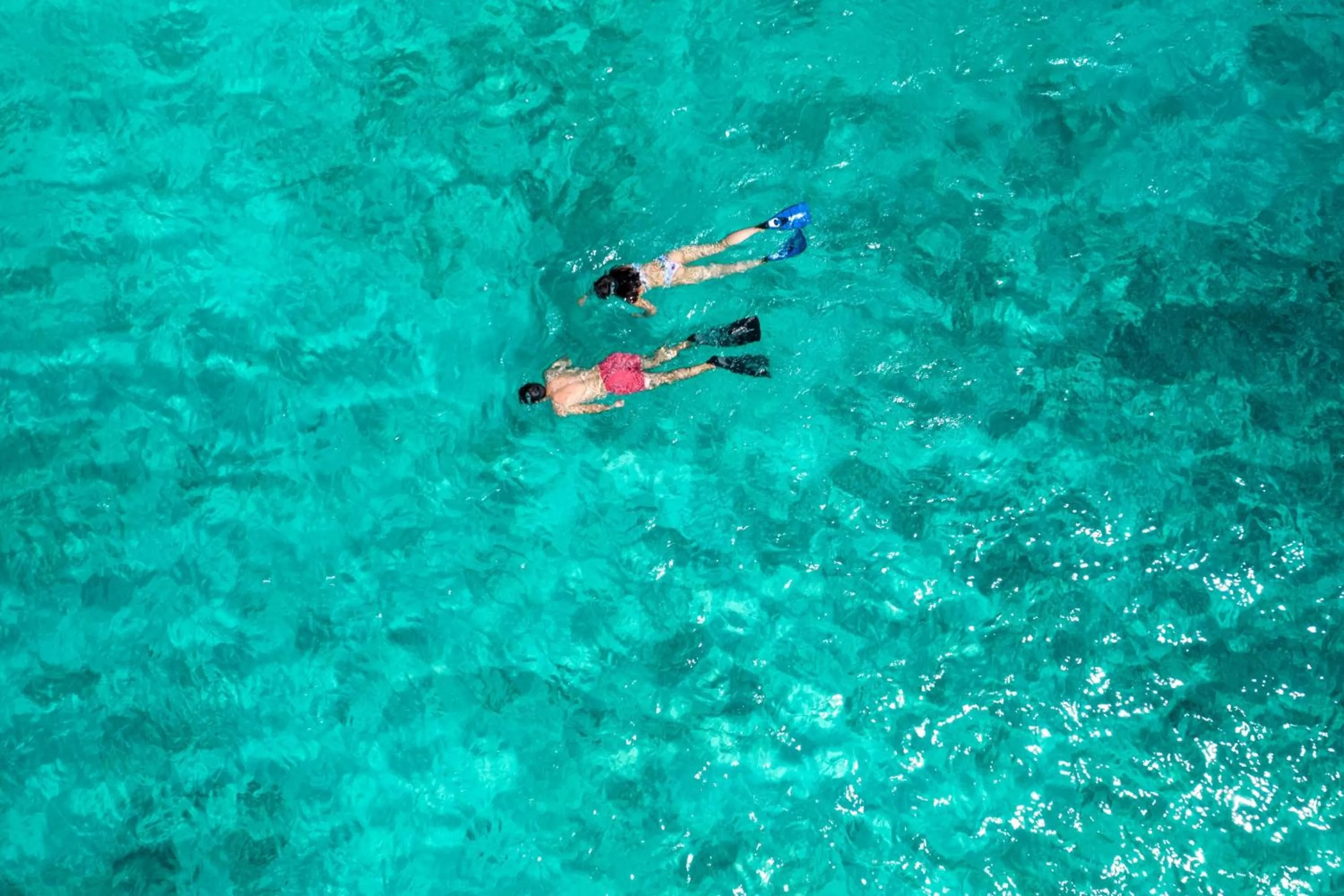 Other in North Island, a Luxury Collection Resort, Seychelles