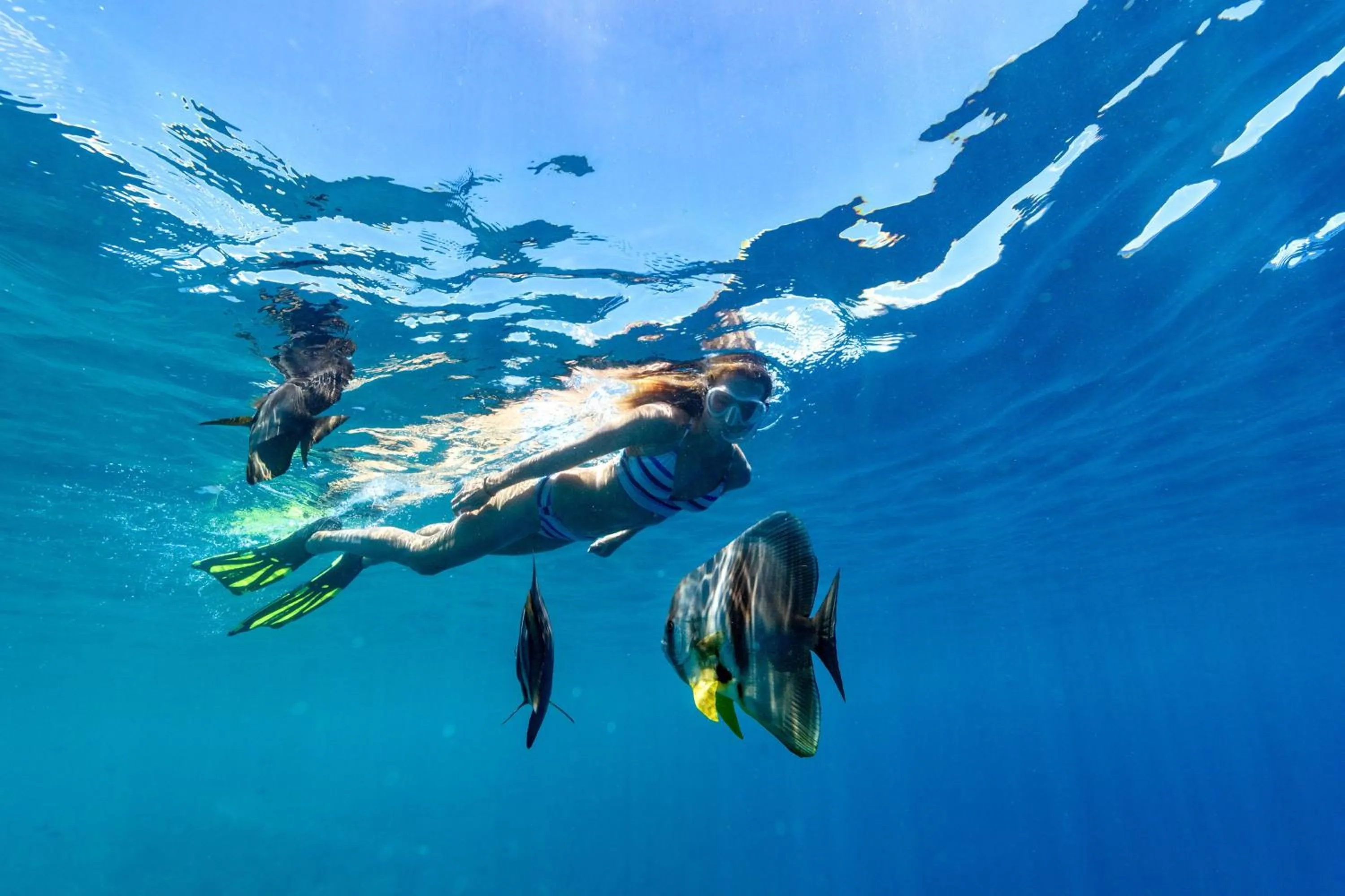 Other in North Island, a Luxury Collection Resort, Seychelles