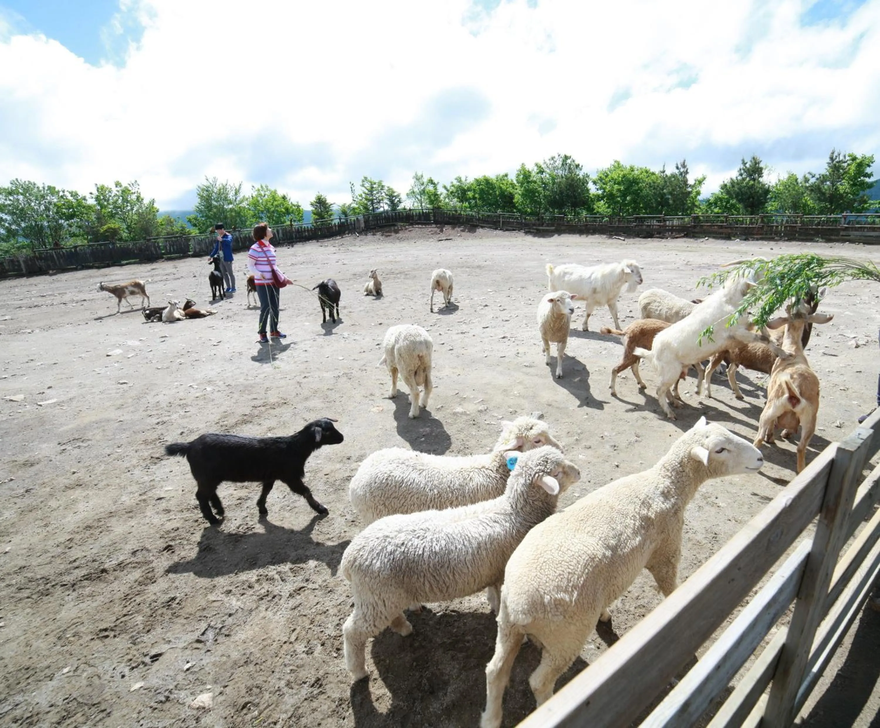 Fitness centre/facilities in Holiday Inn & Suites Alpensia Pyeongchang Suites by IHG