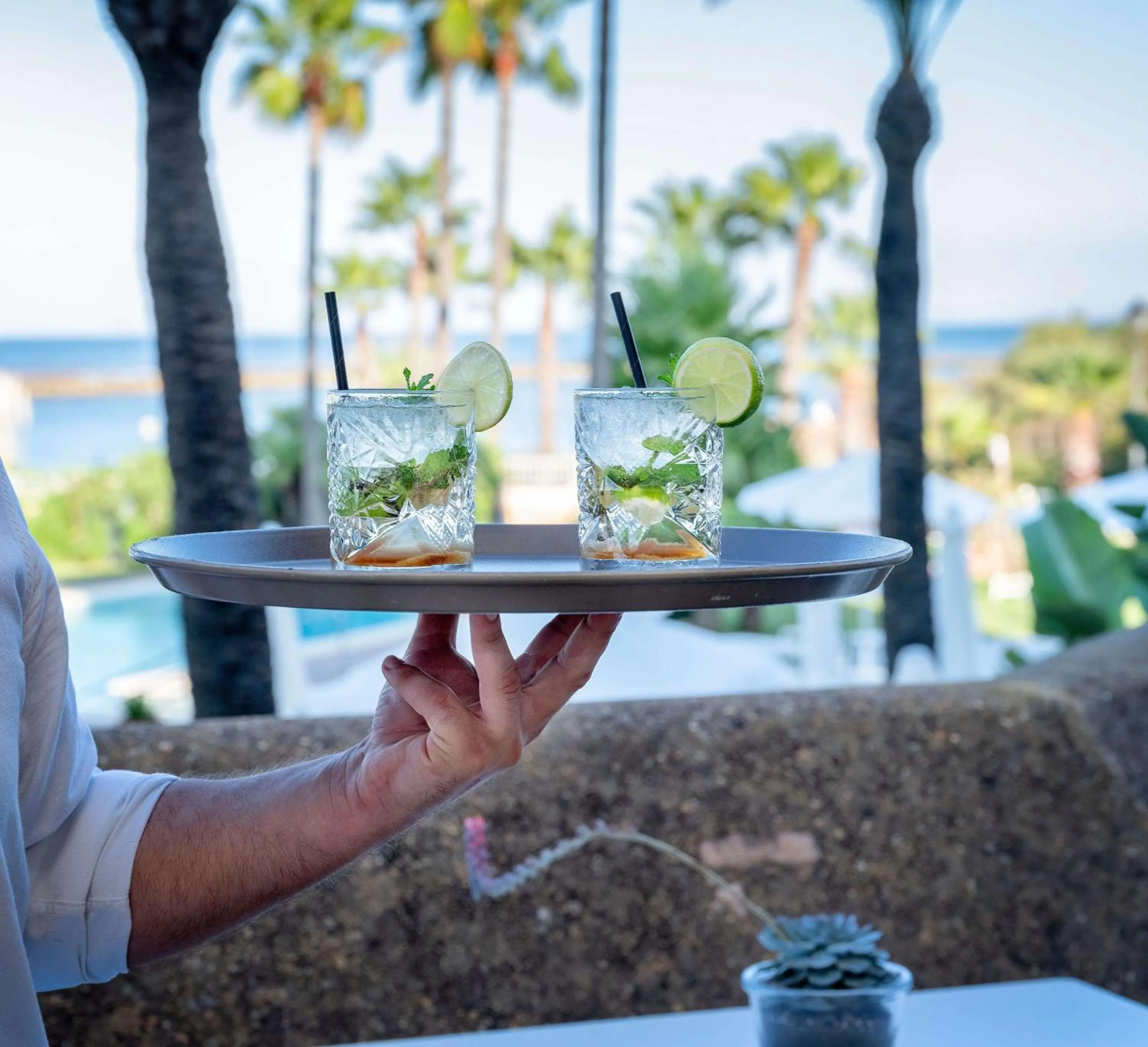 Restaurant/places to eat in Meliá Isla Canela