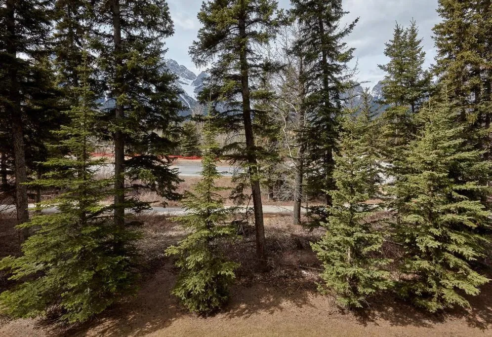 Newly Renovated Grizzly Lodge, Spacious 3BR 2BA with open pool, hot tub