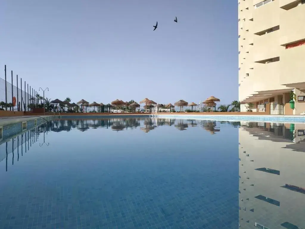 Apal Chinasol Estudios Apal Chinasol Estudios