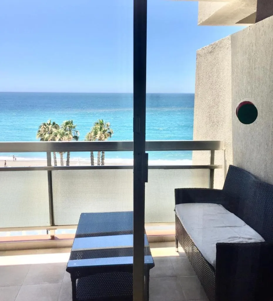 Apal Chinasol Estudios