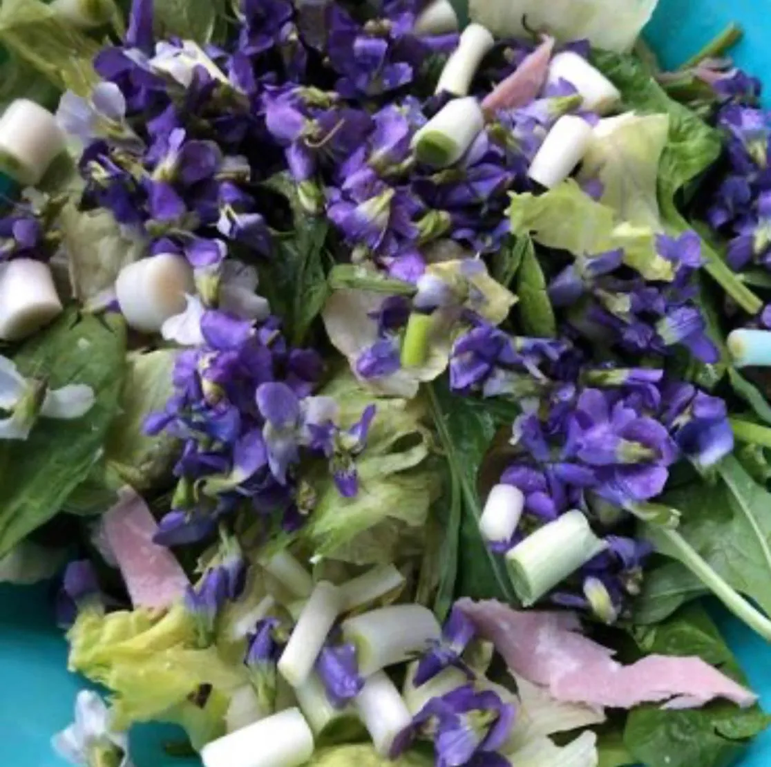 Laurel River Club Bed & Breakfast or LRCBNB