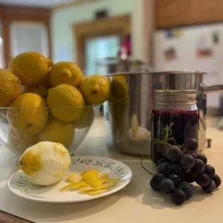 Laurel River Club Bed & Breakfast or LRCBNB