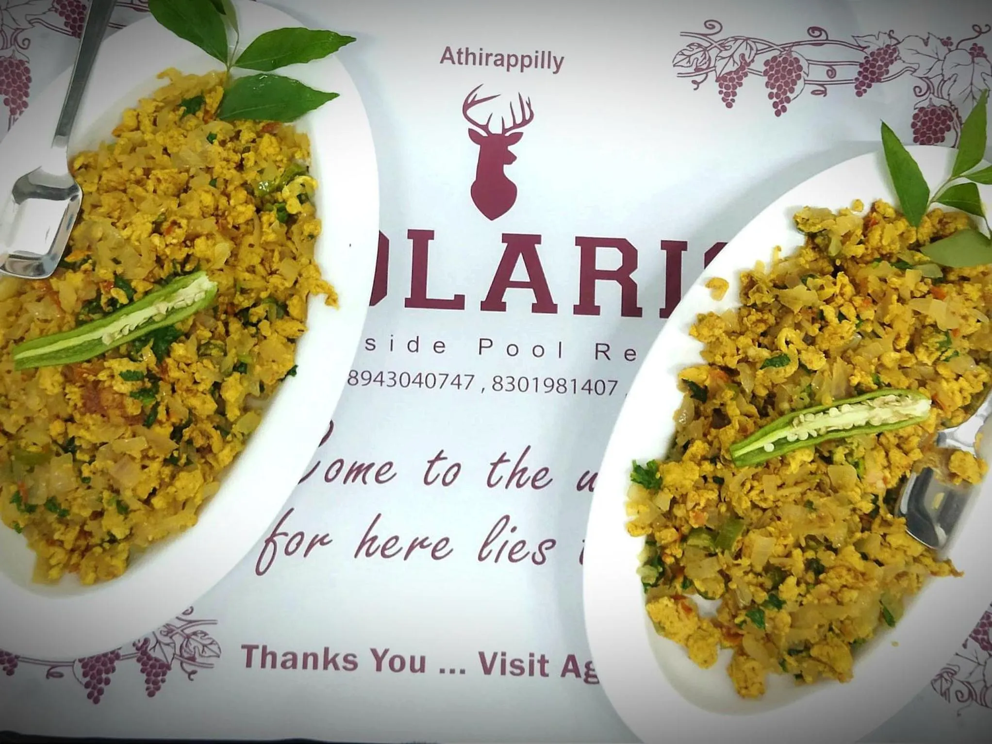 Athirappilly Polaris Resort