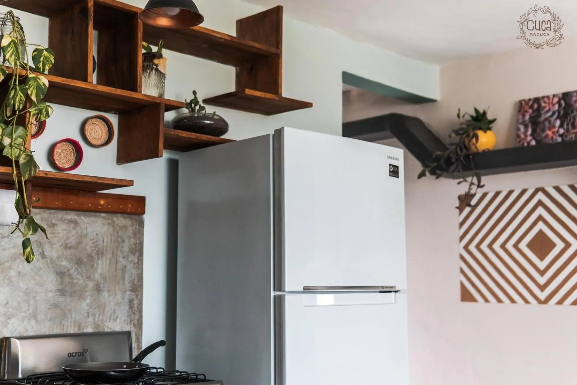 Communal kitchen in Hostal Cuca Macuca
