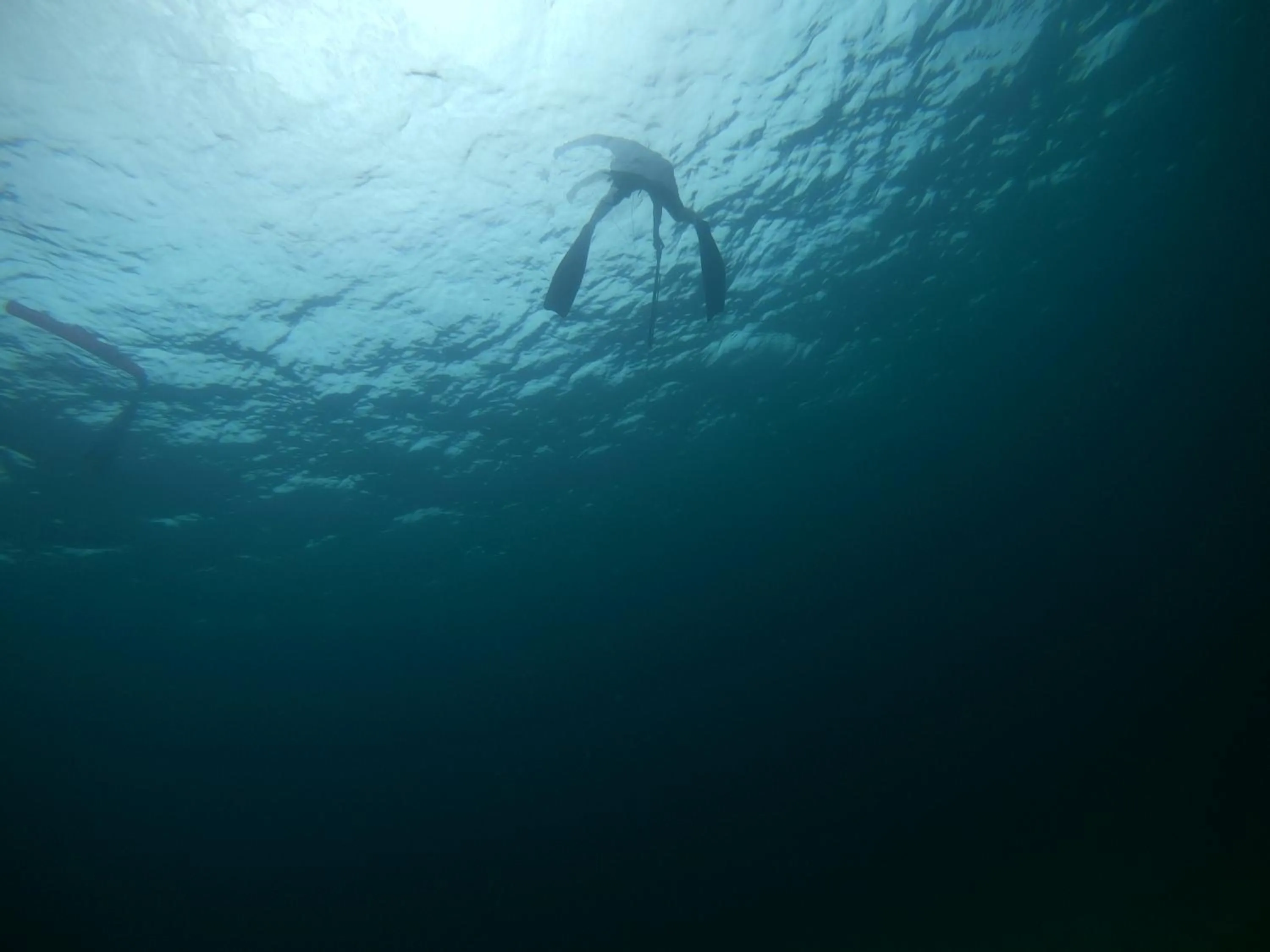 Beach in Hostal Cuca Macuca