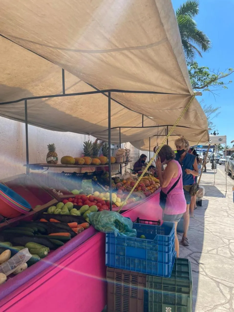 Supermarket/grocery shop in Hostal Cuca Macuca