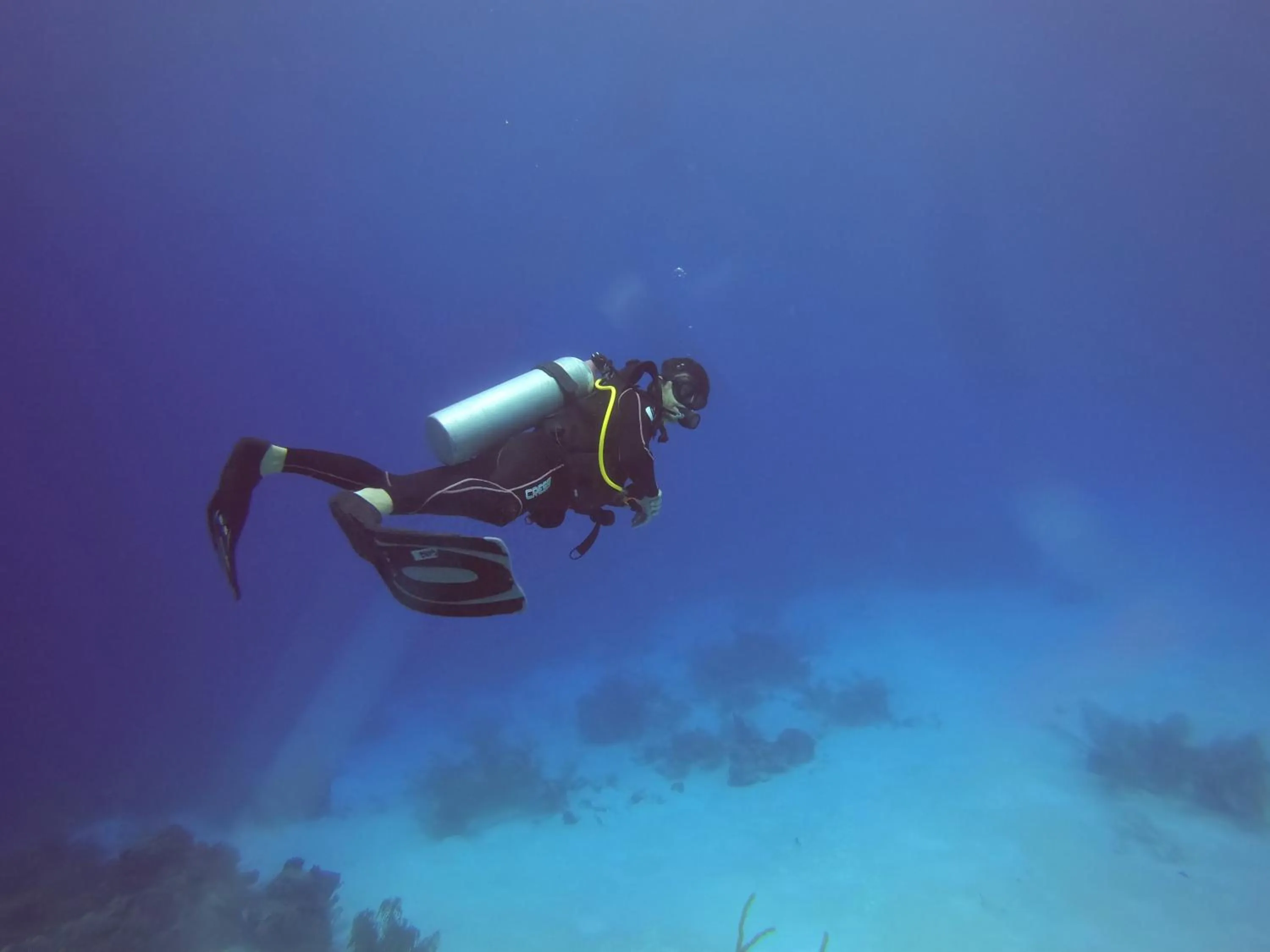 Diving in Hostal Cuca Macuca