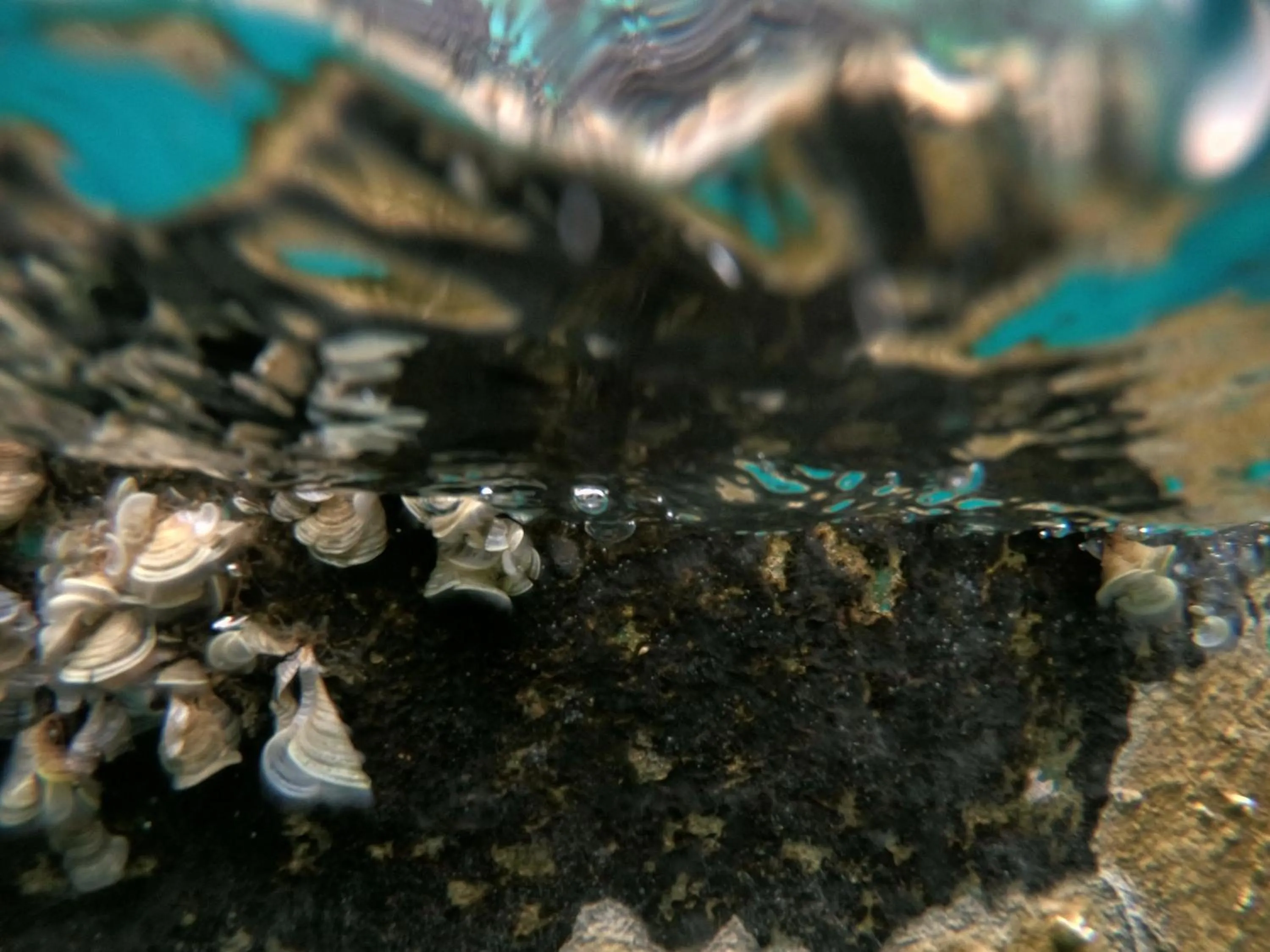 Neighbourhood in Hostal Cuca Macuca