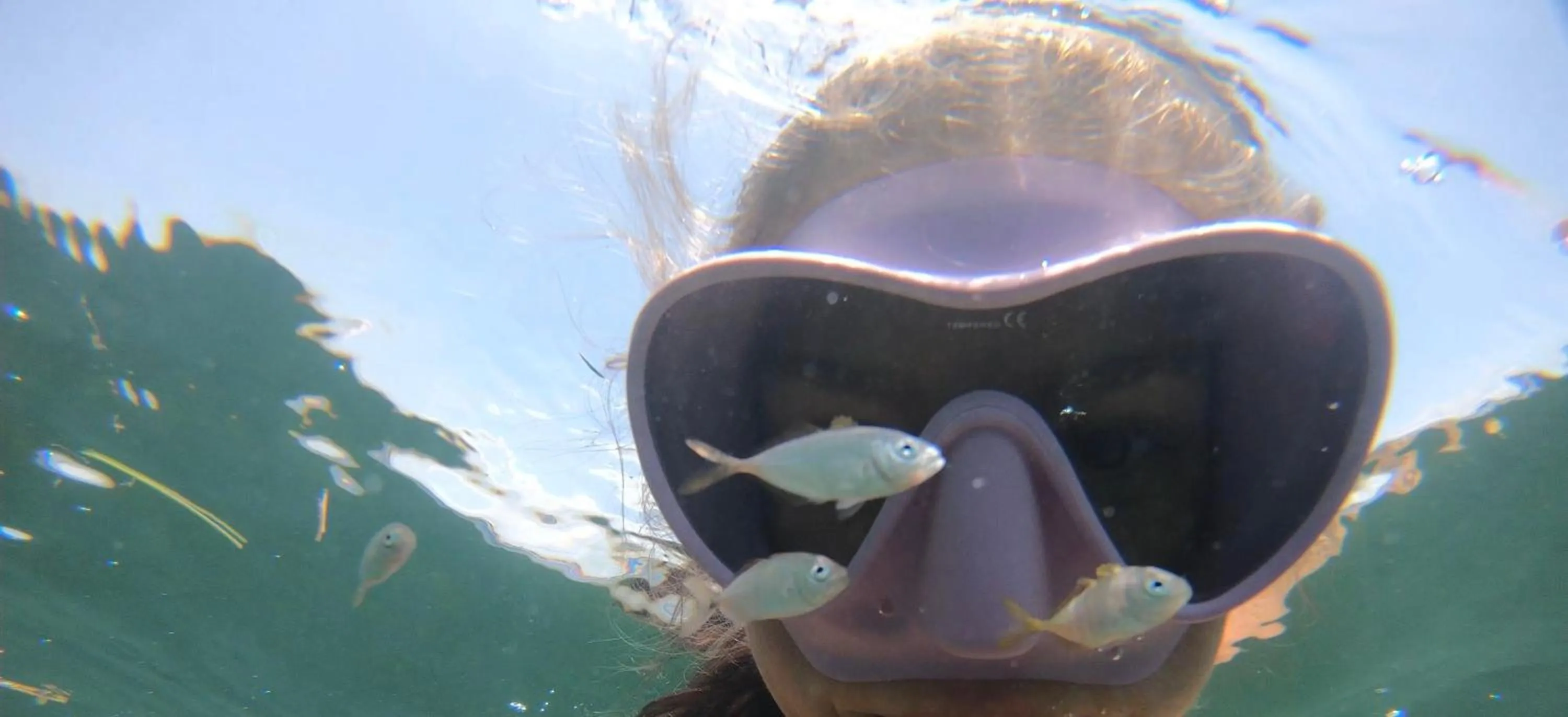 Snorkeling in Hostal Cuca Macuca