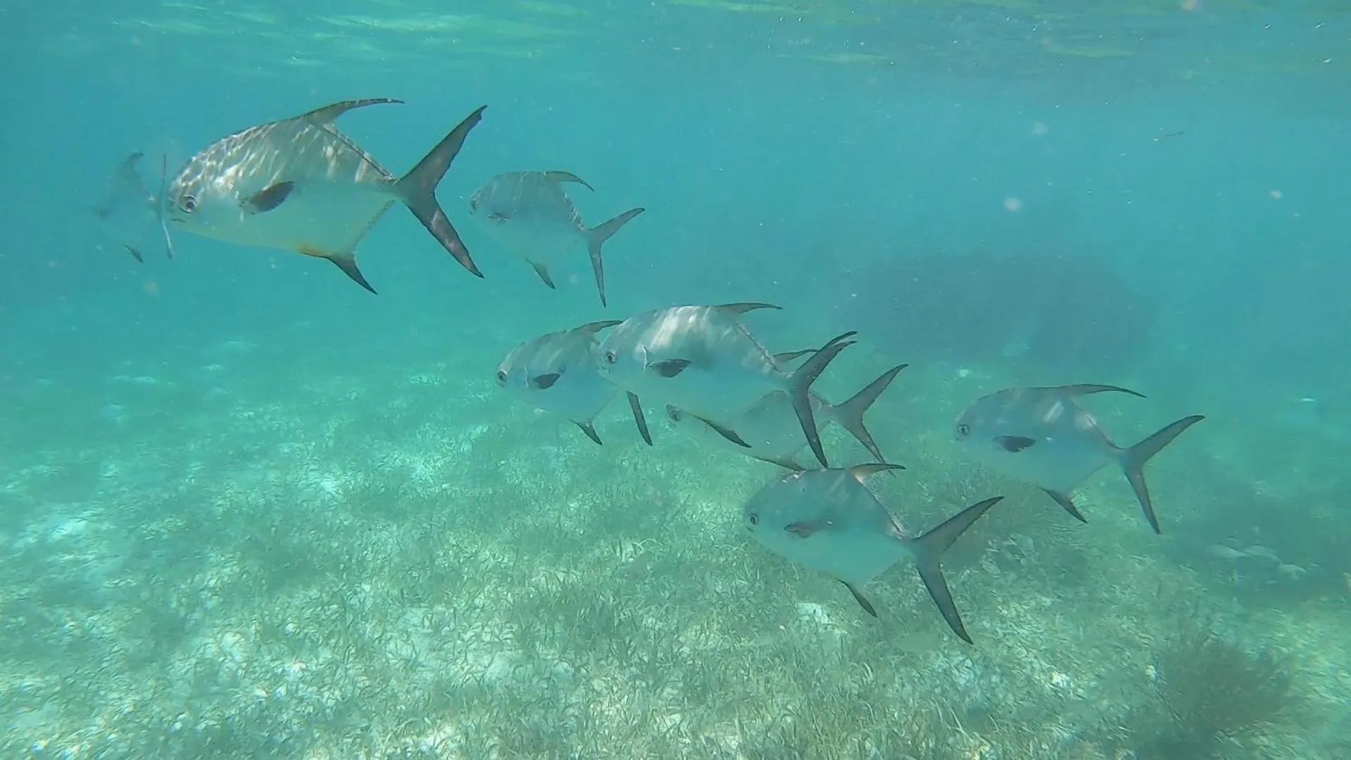 Snorkeling in Hostal Cuca Macuca